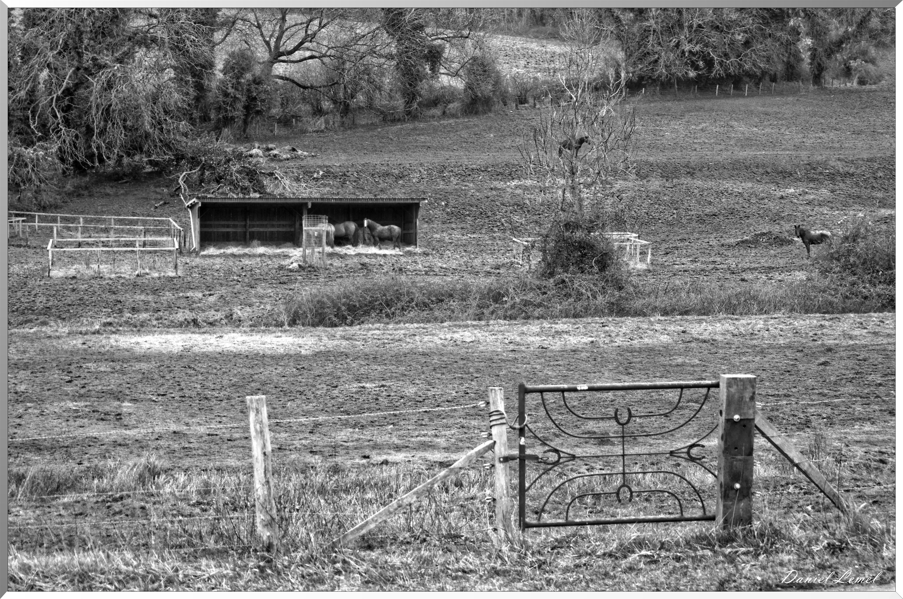 Villers-en-Arthies