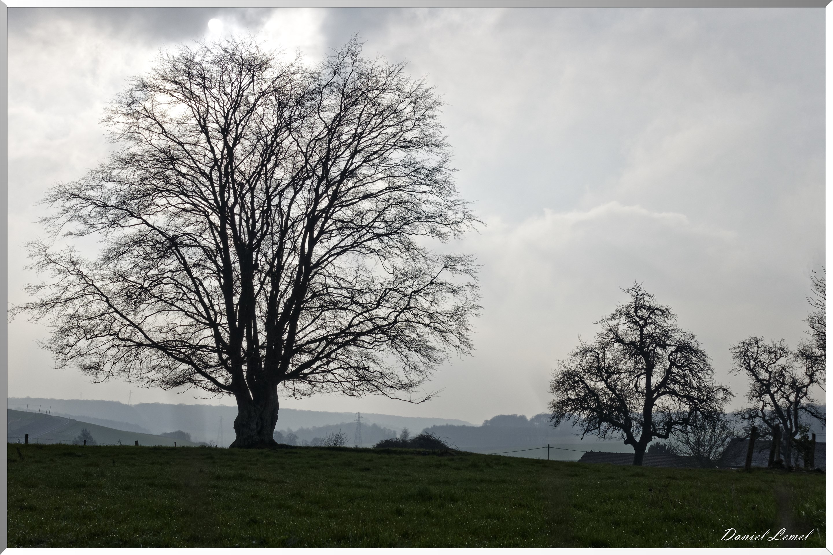 Civieres