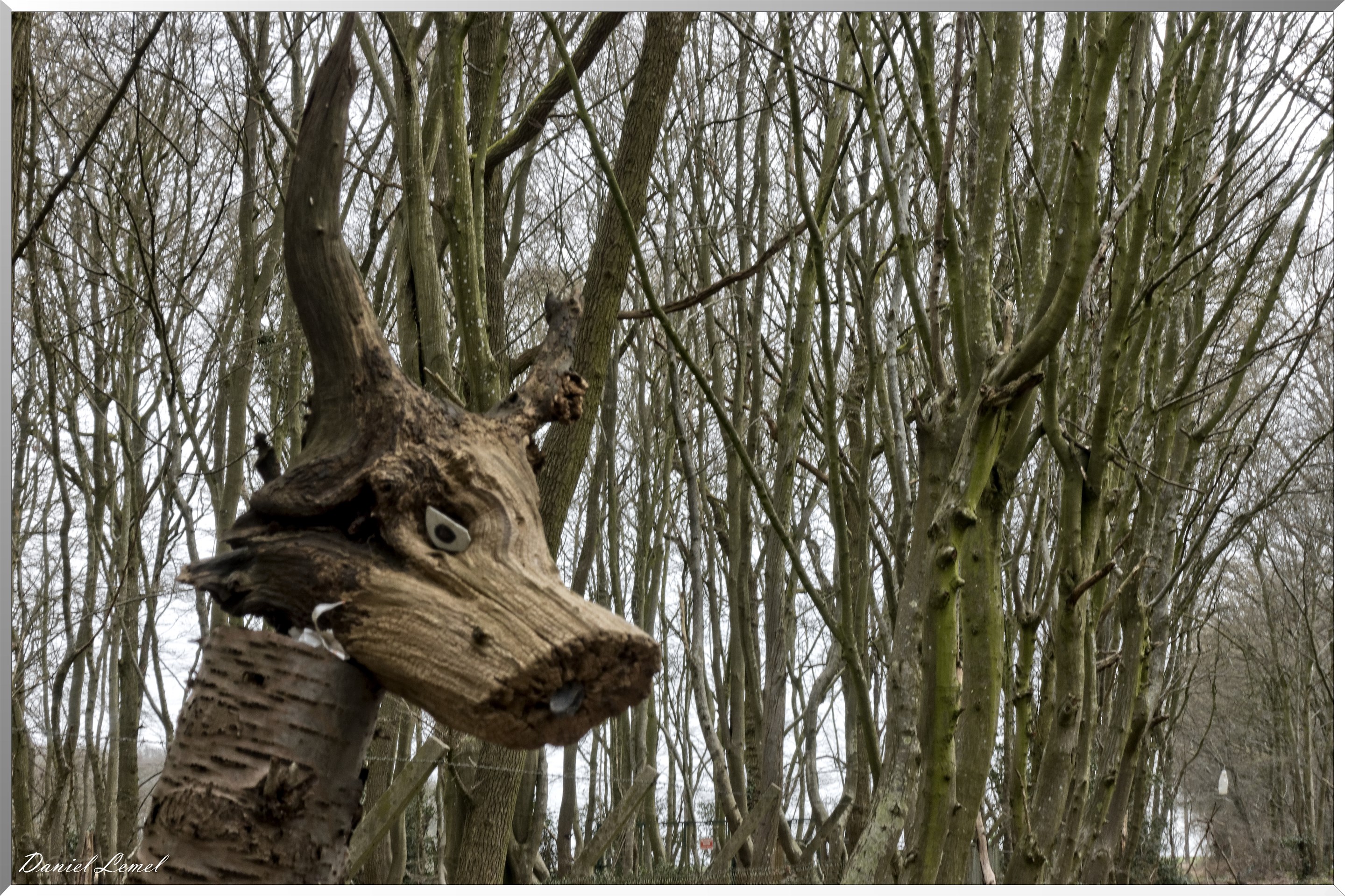 Bois-Jérôme-Saint-Ouen