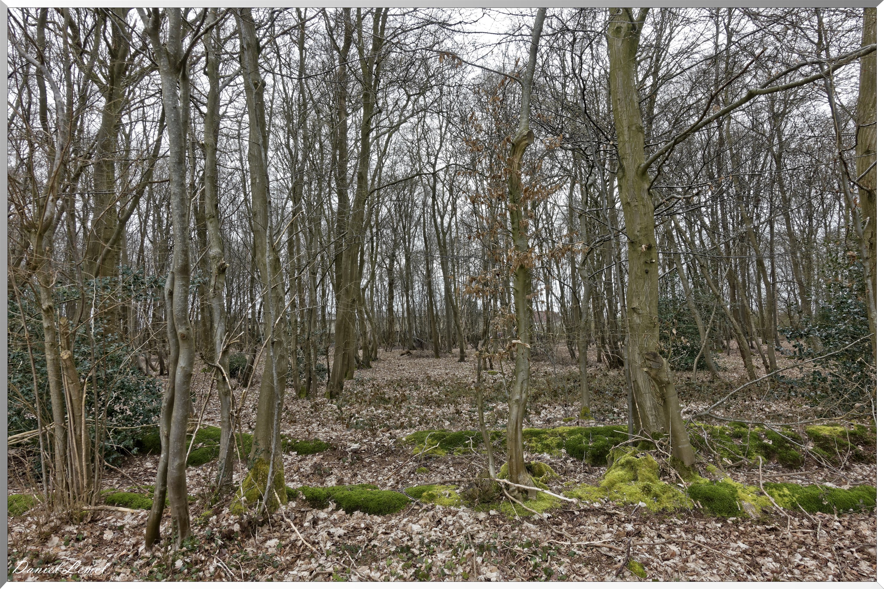 Bois-Jérôme-Saint-Ouen