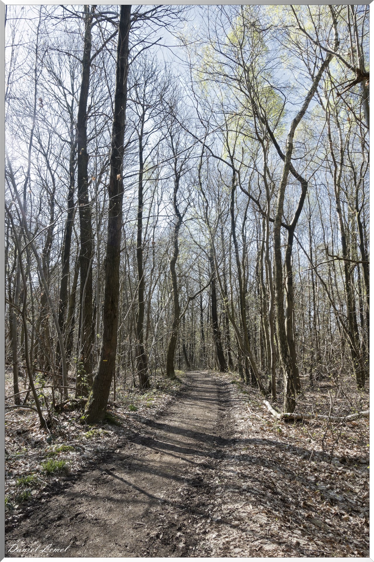Neuville-Bosc