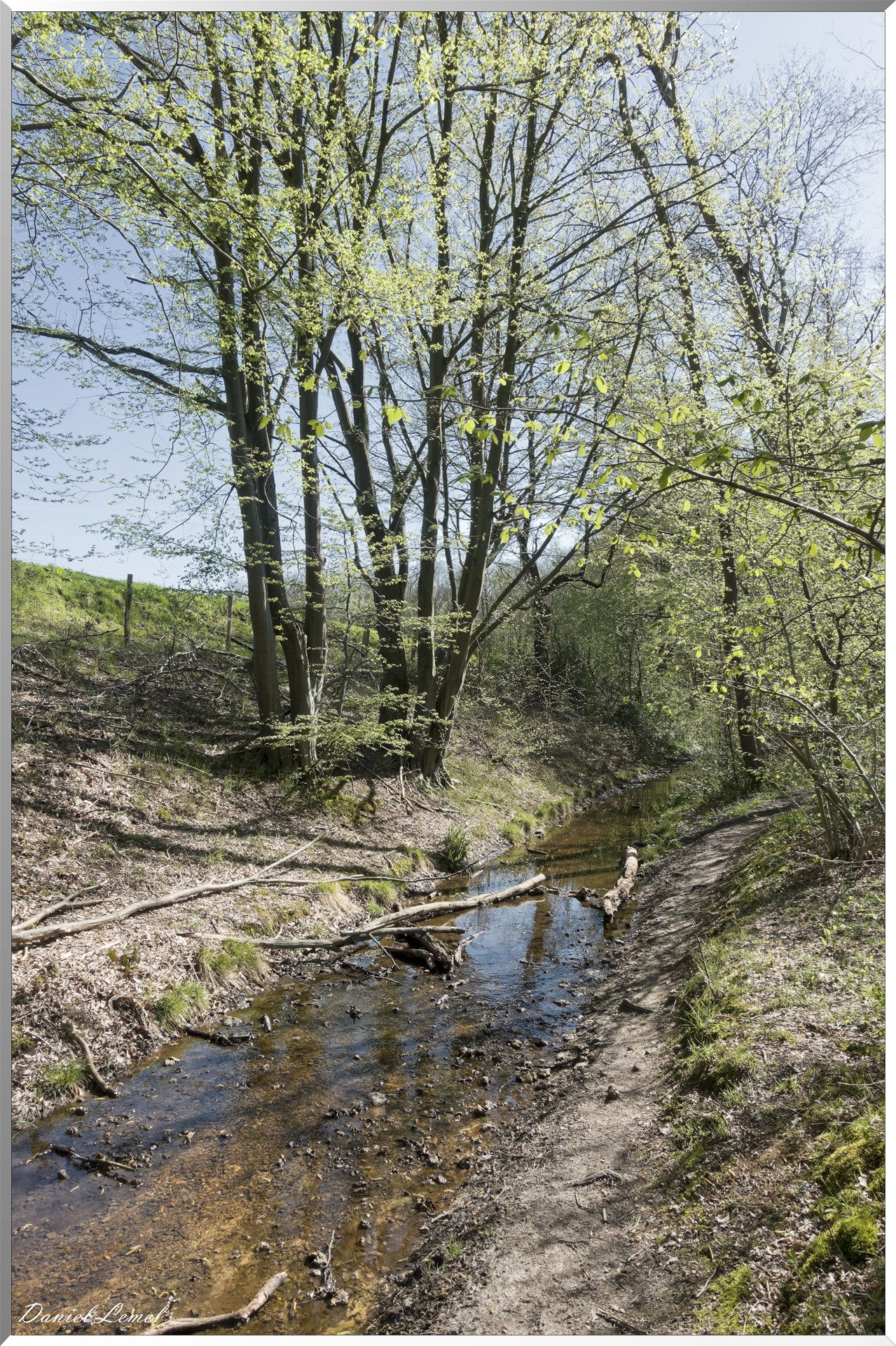 Neuville-Bosc
