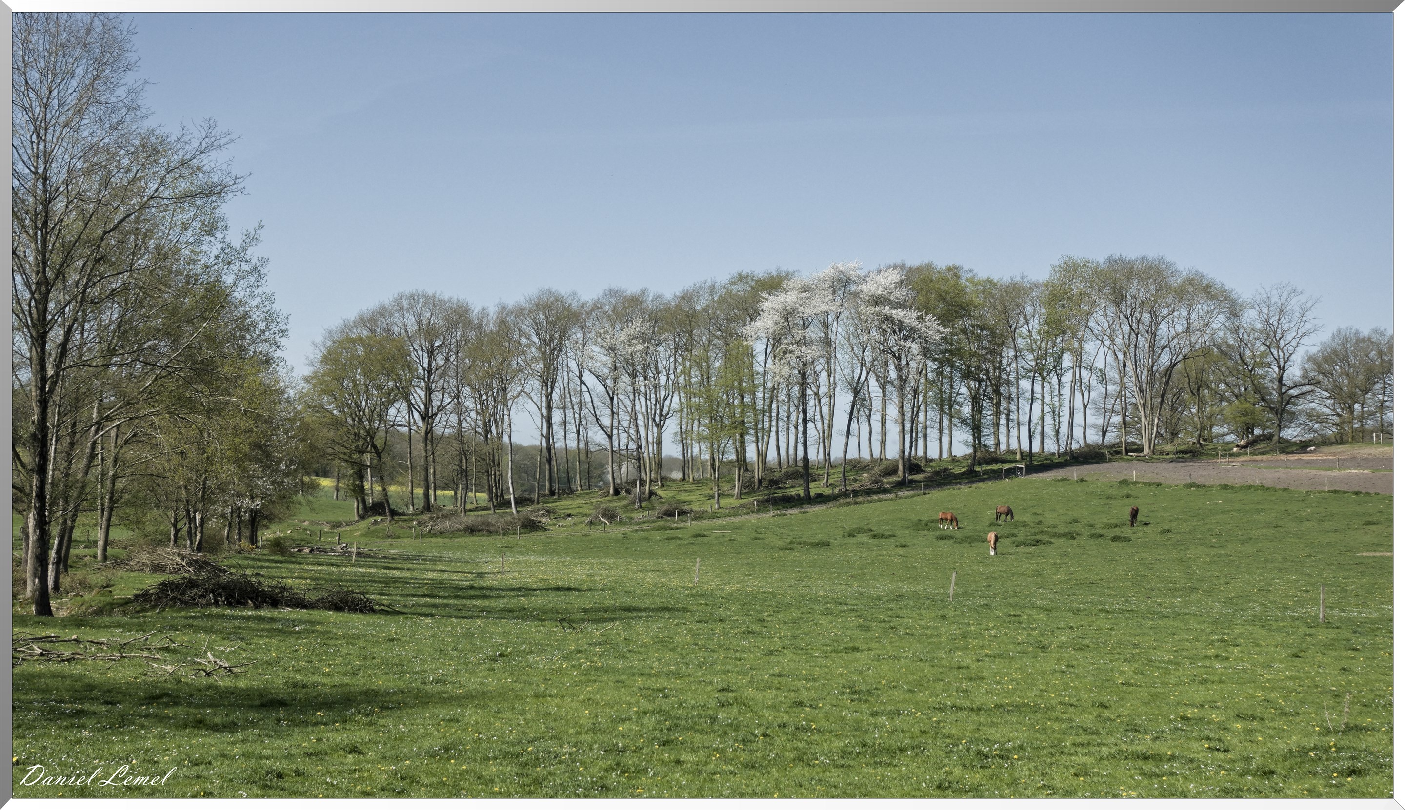 Neuville-Bosc