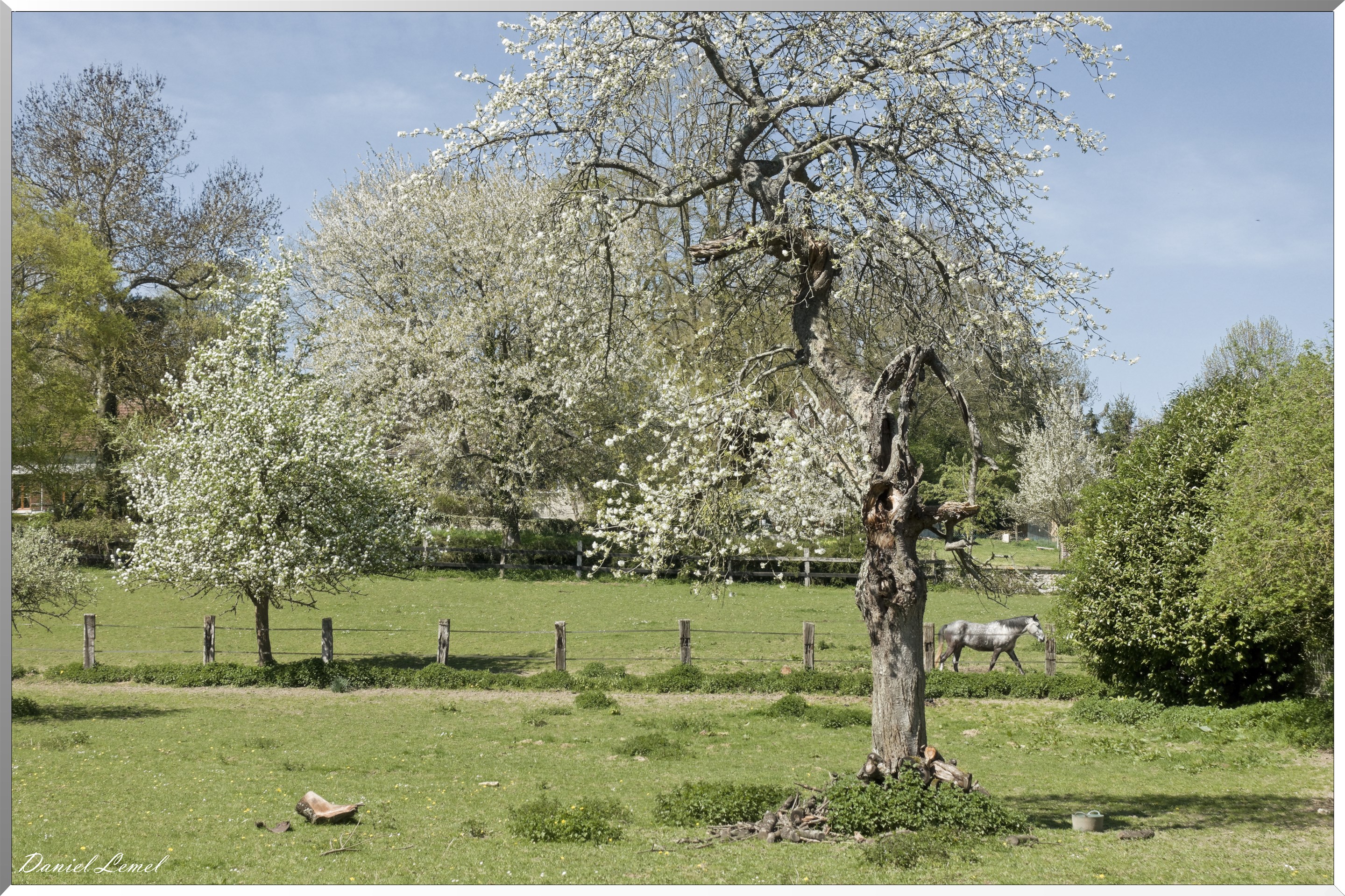 Neuville-Bosc