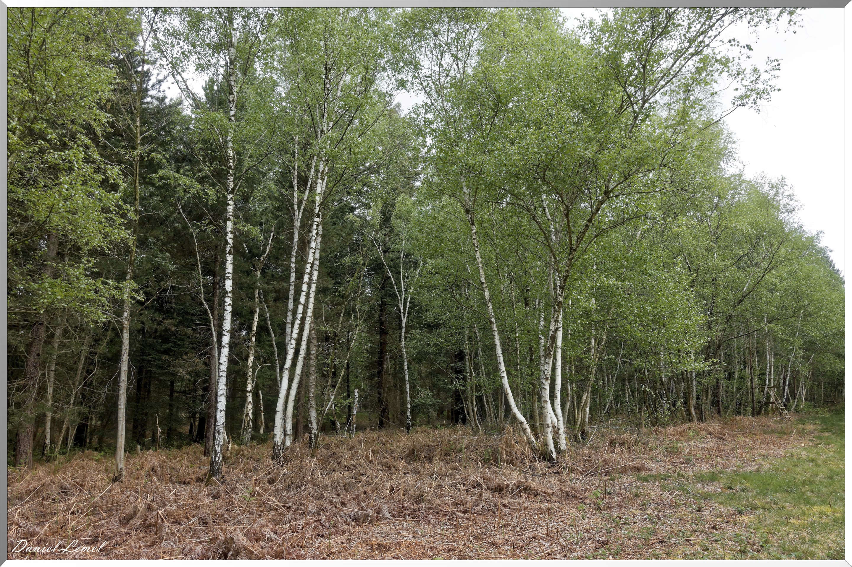 Plateau de l'espace - Vernon
