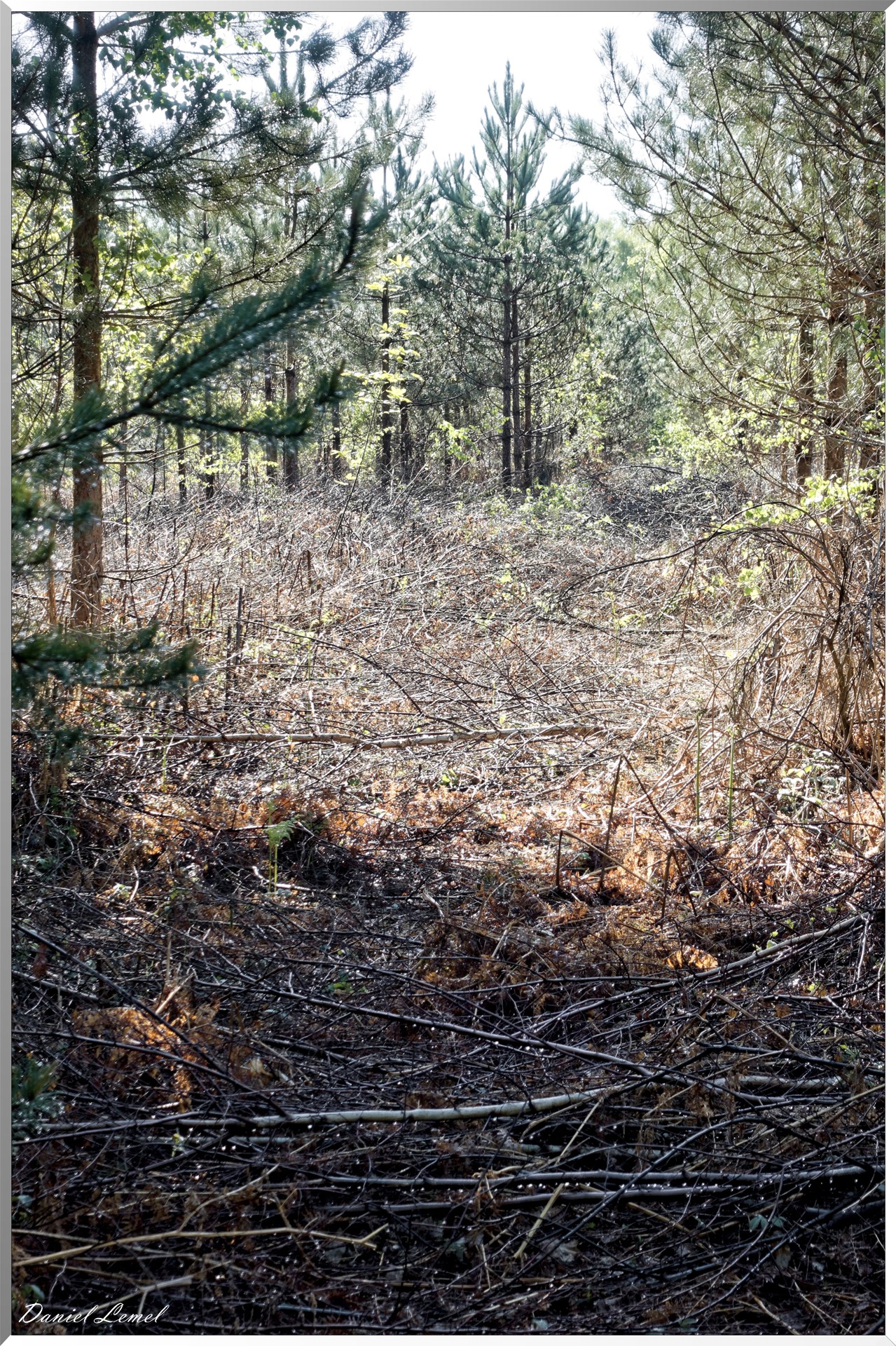 Plateau de l'espace - Vernon
