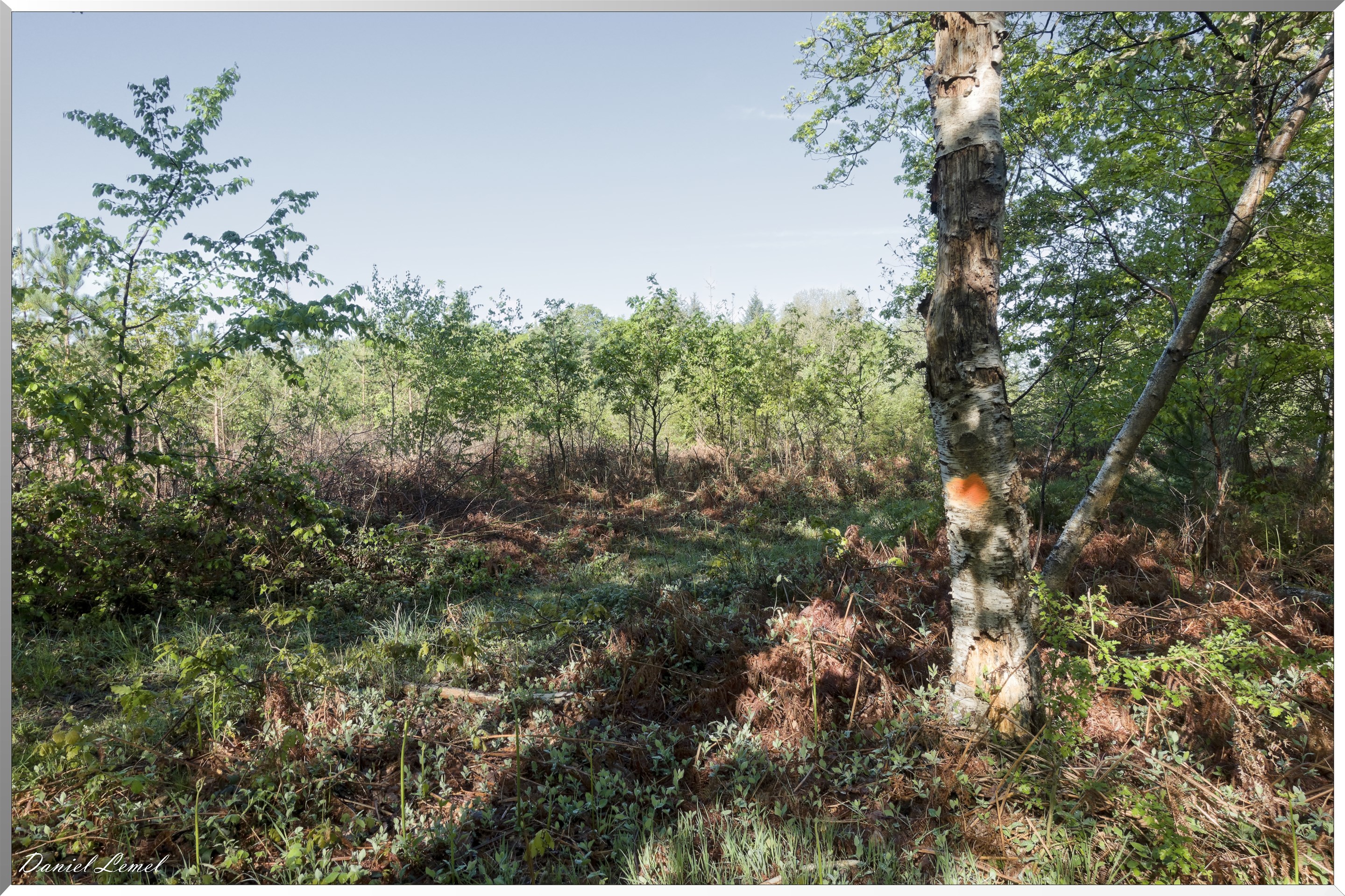 Plateau de l'espace - Vernon