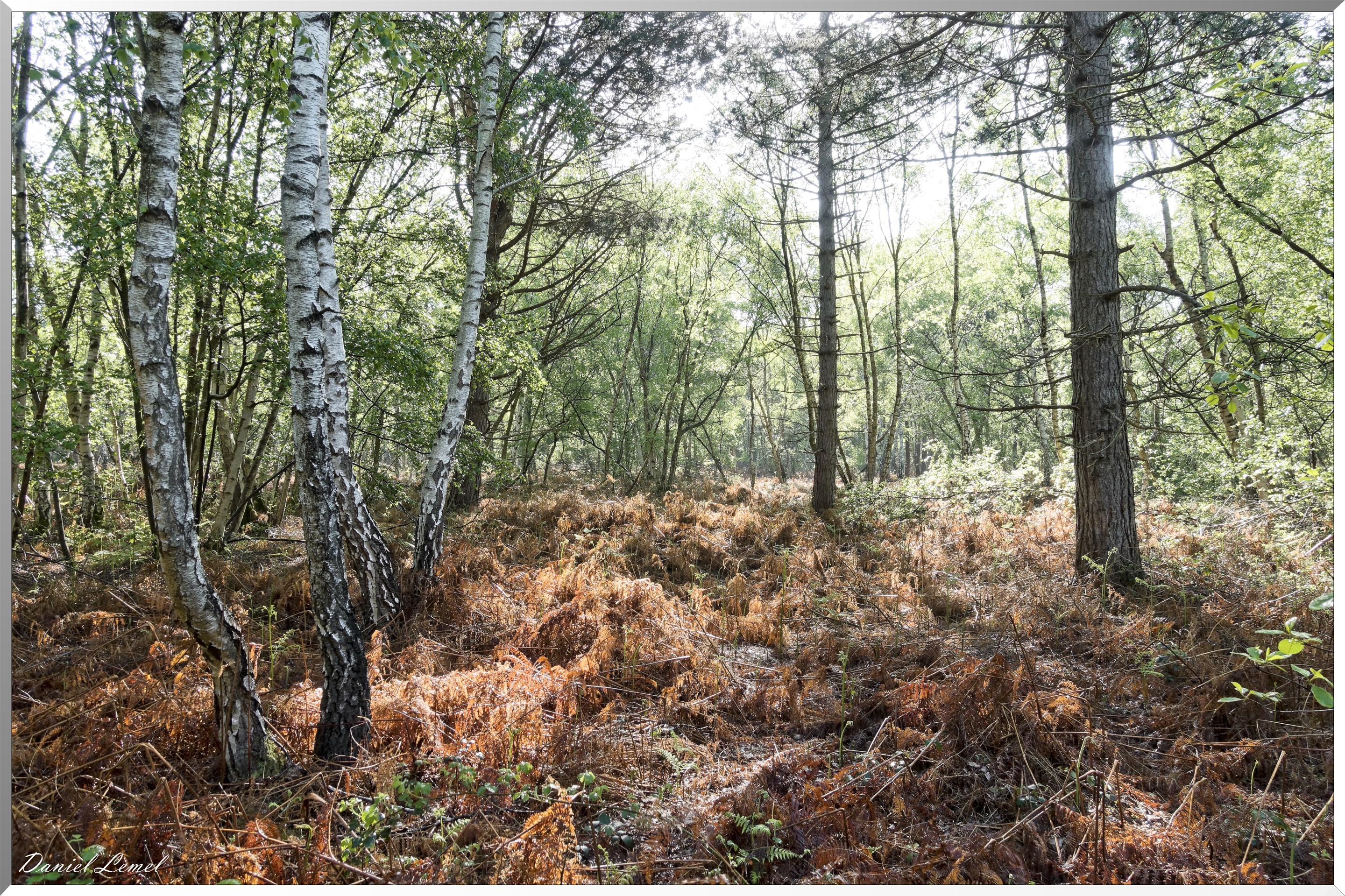 Plateau de l'espace - Vernon