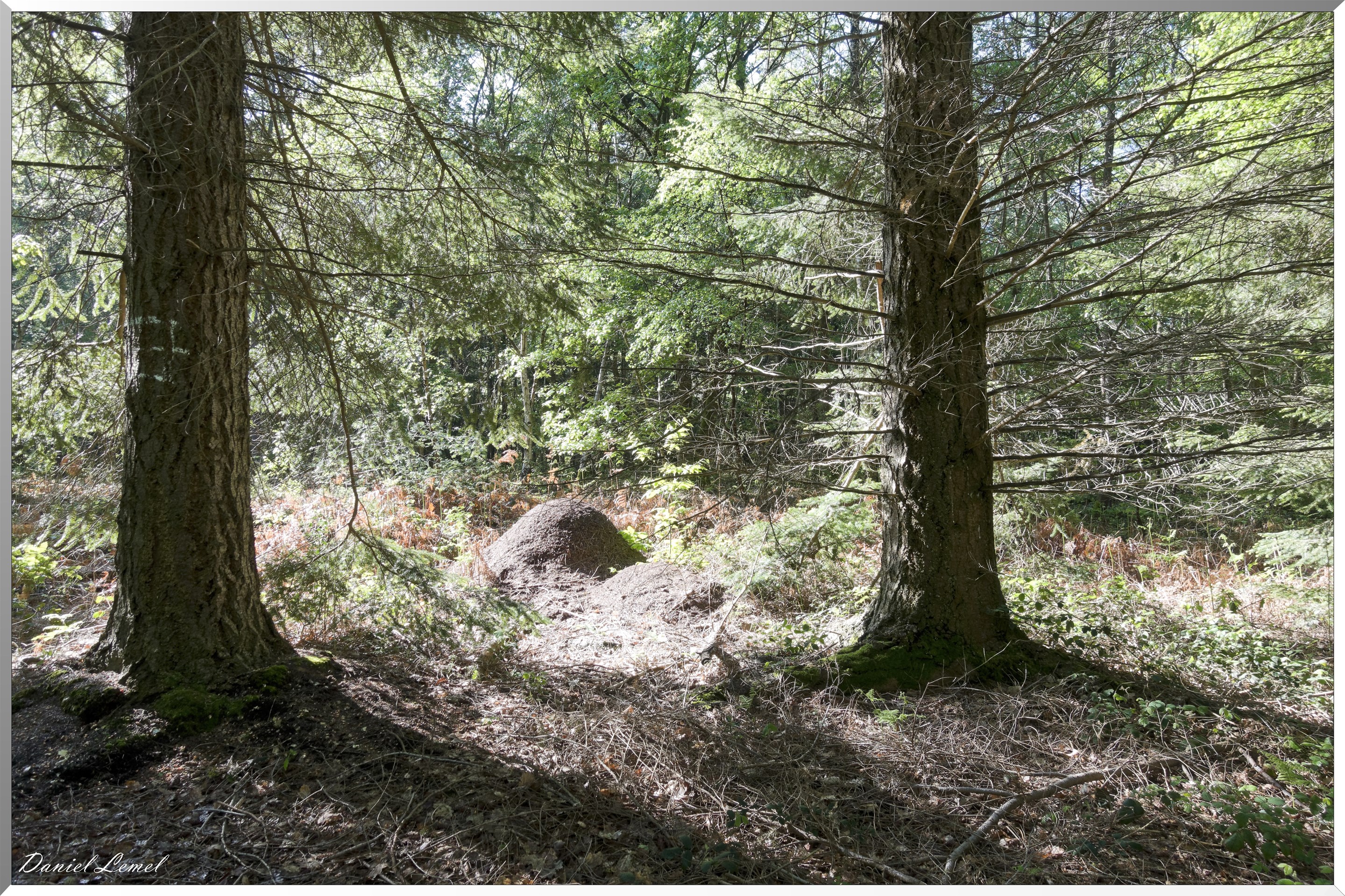 Plateau de l'espace - Vernon