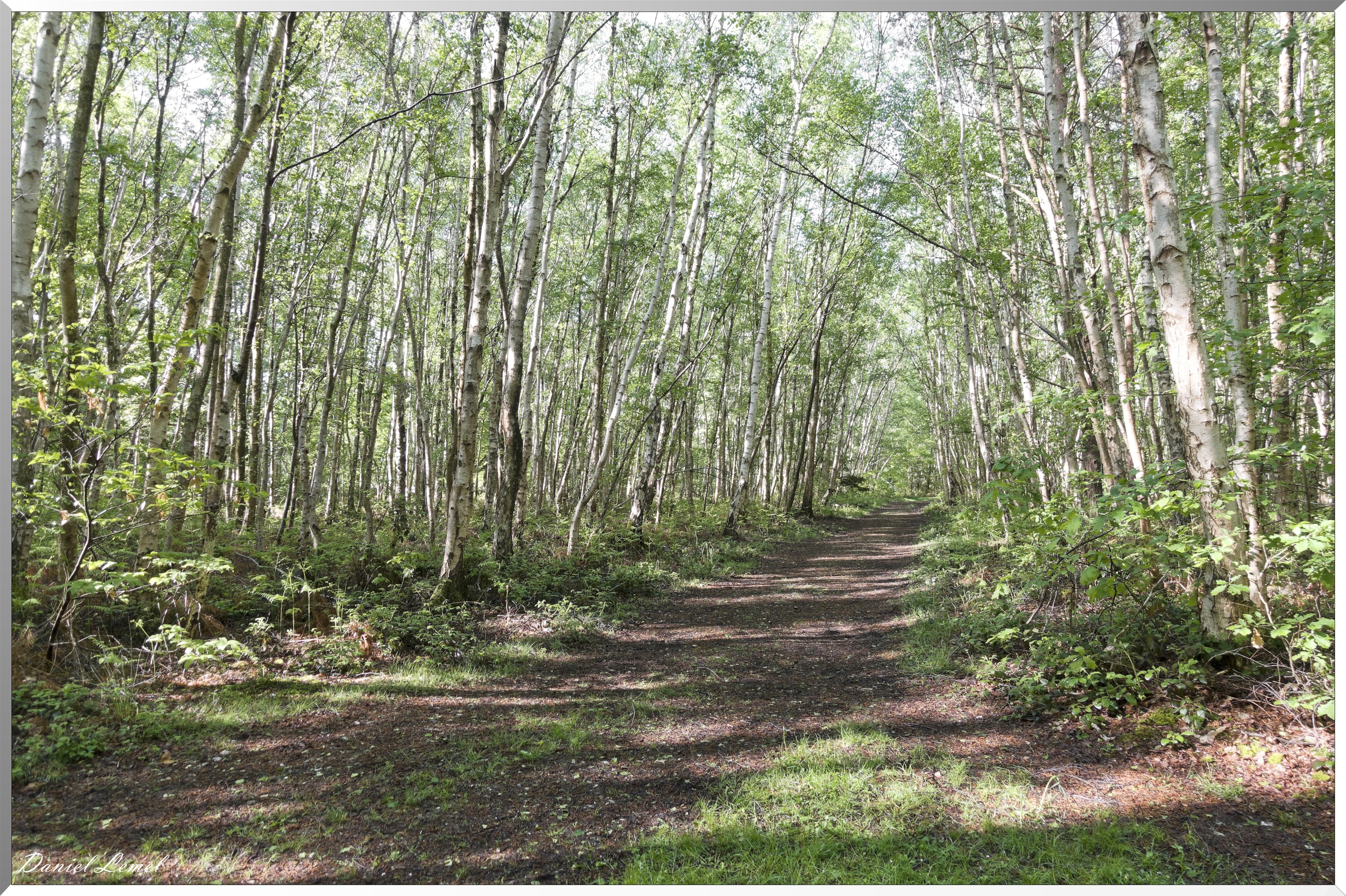 Plateau de l'espace - Vernon