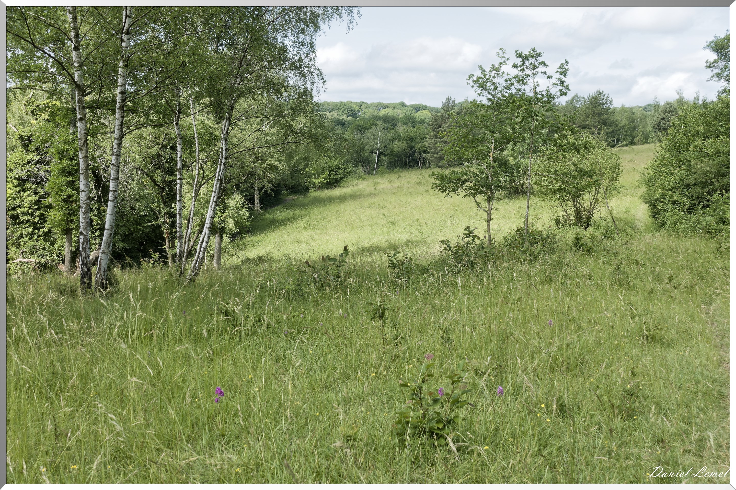 Guiry-en-Vexin