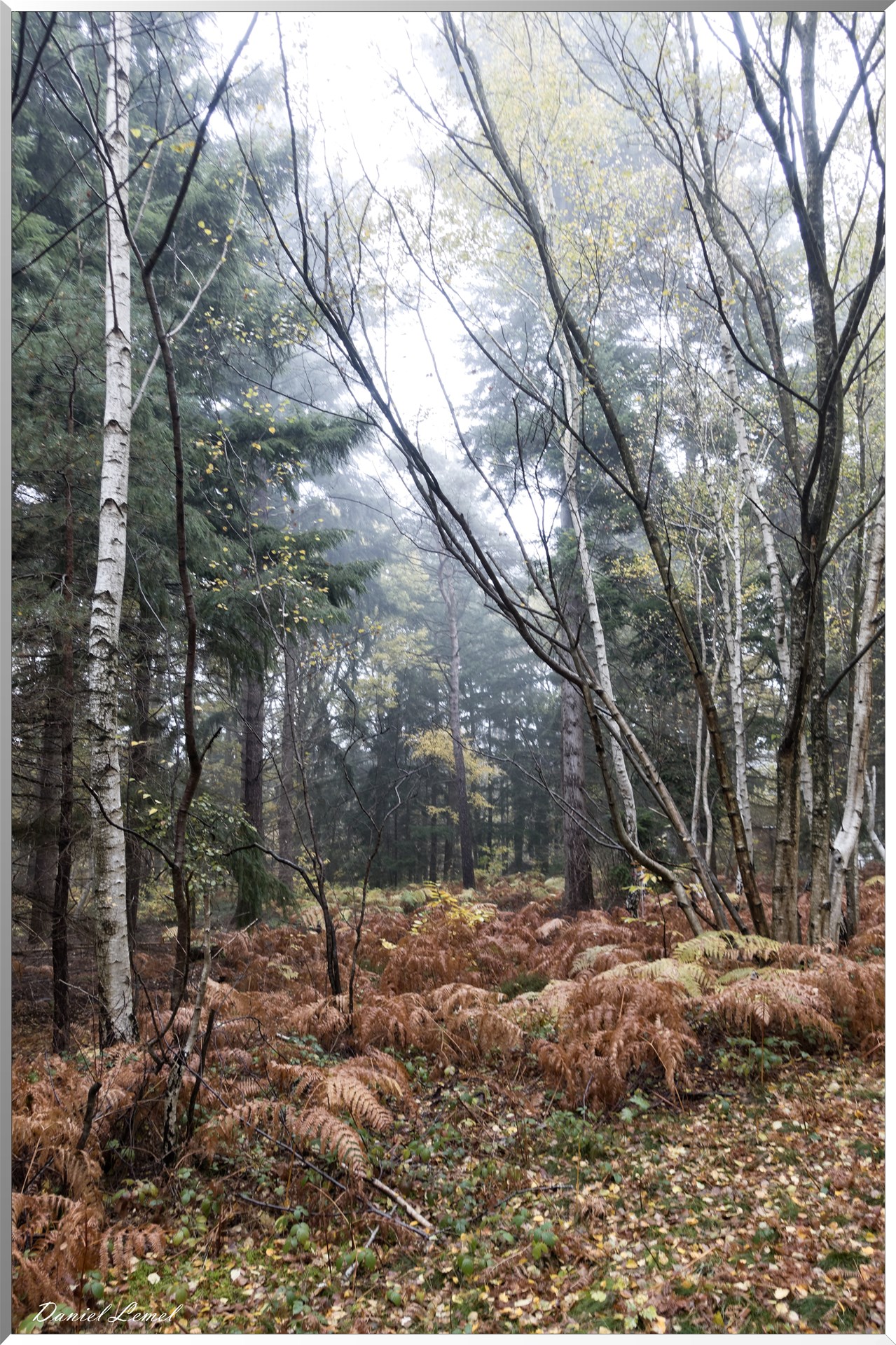 Vernon - Forêt du LRBA