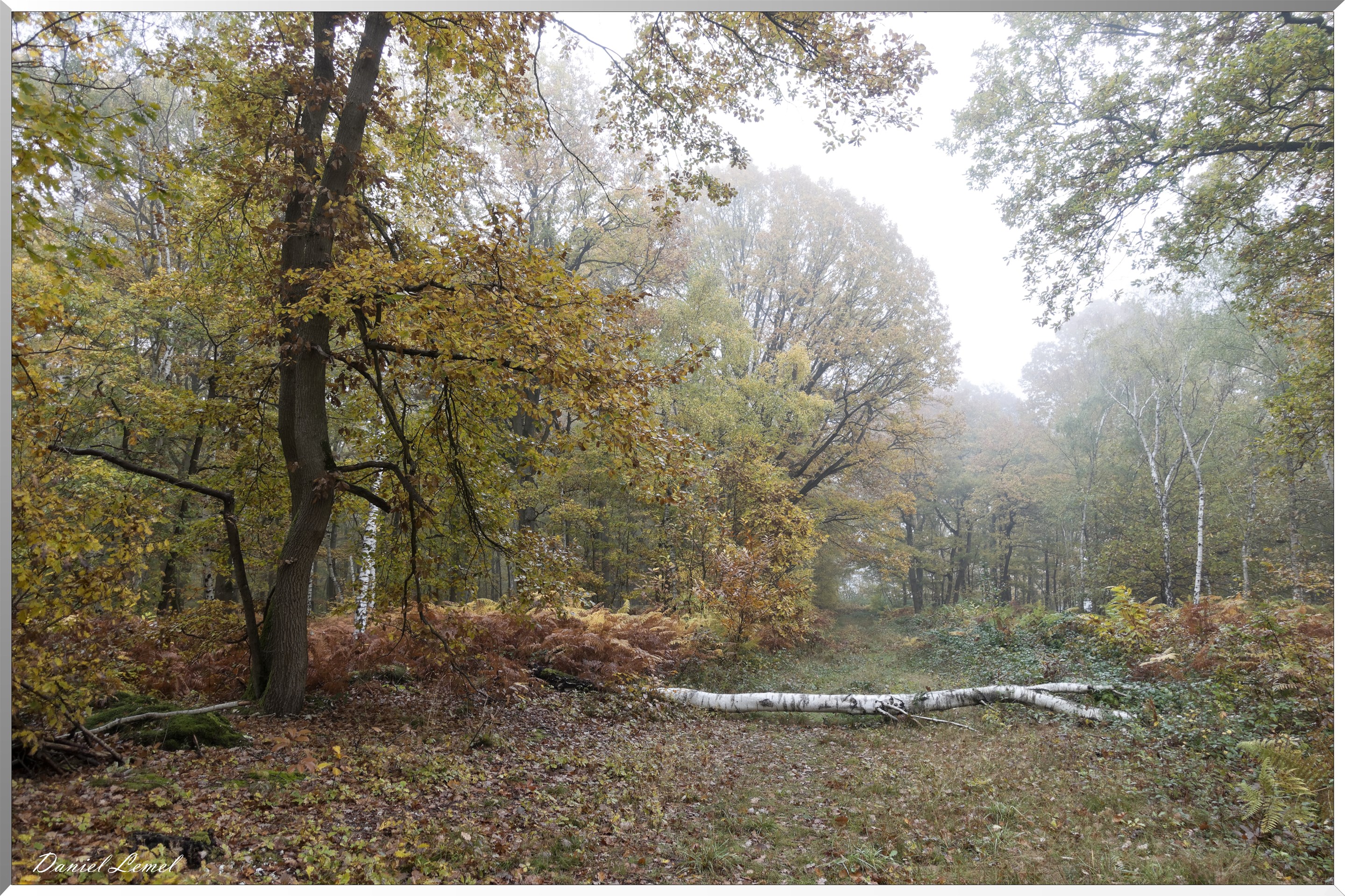 Vernon - Forêt du LRBA