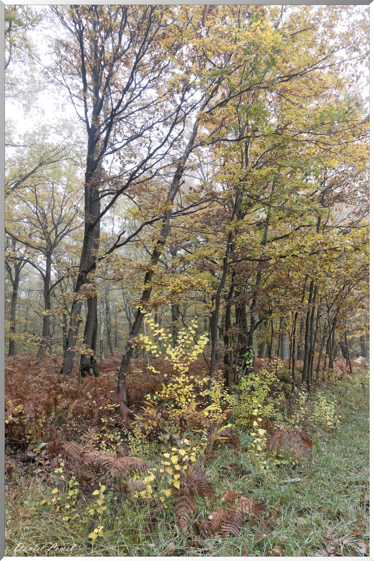 Vernon - Forêt du LRBA
