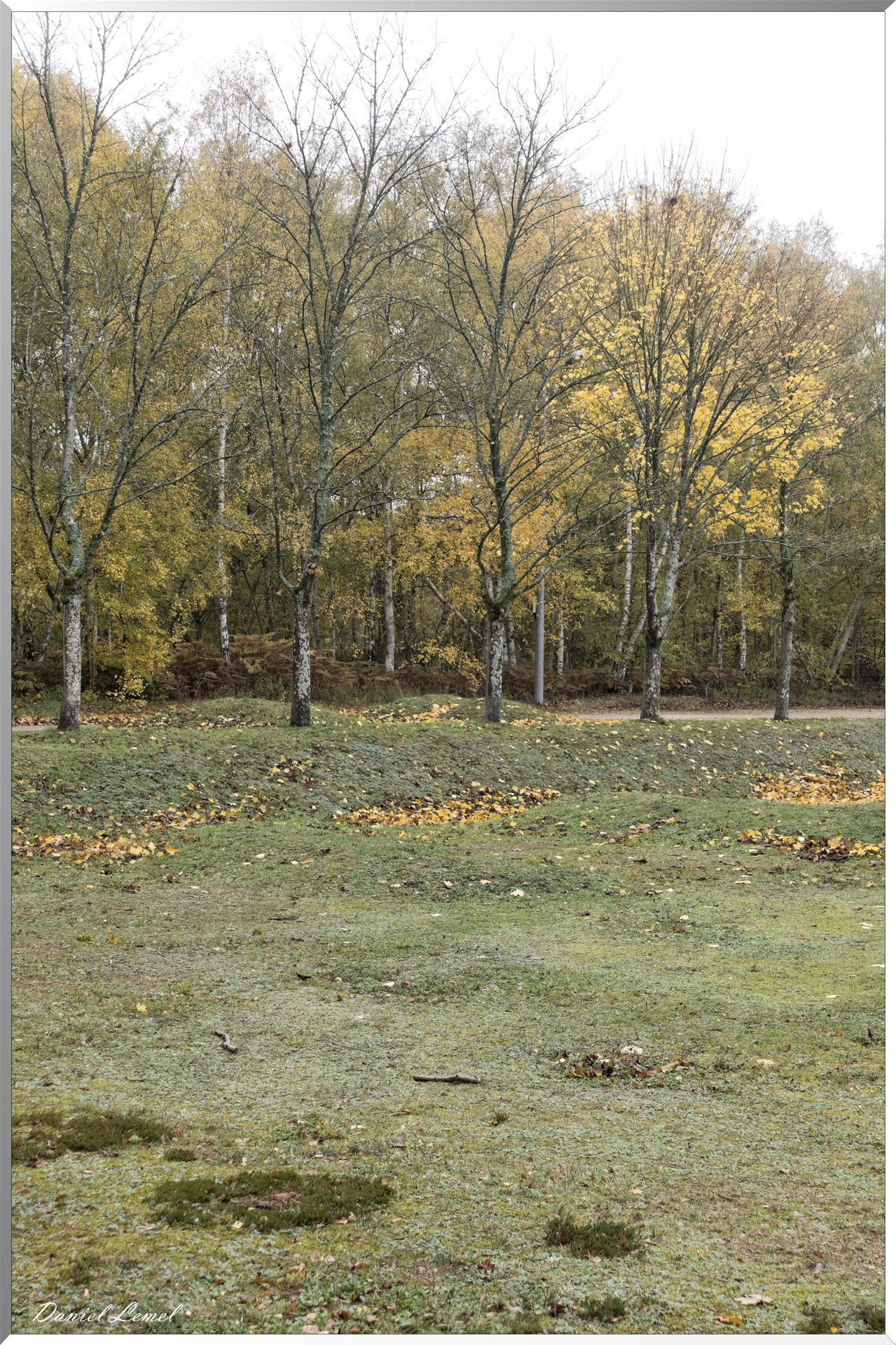 Vernon - Forêt du LRBA