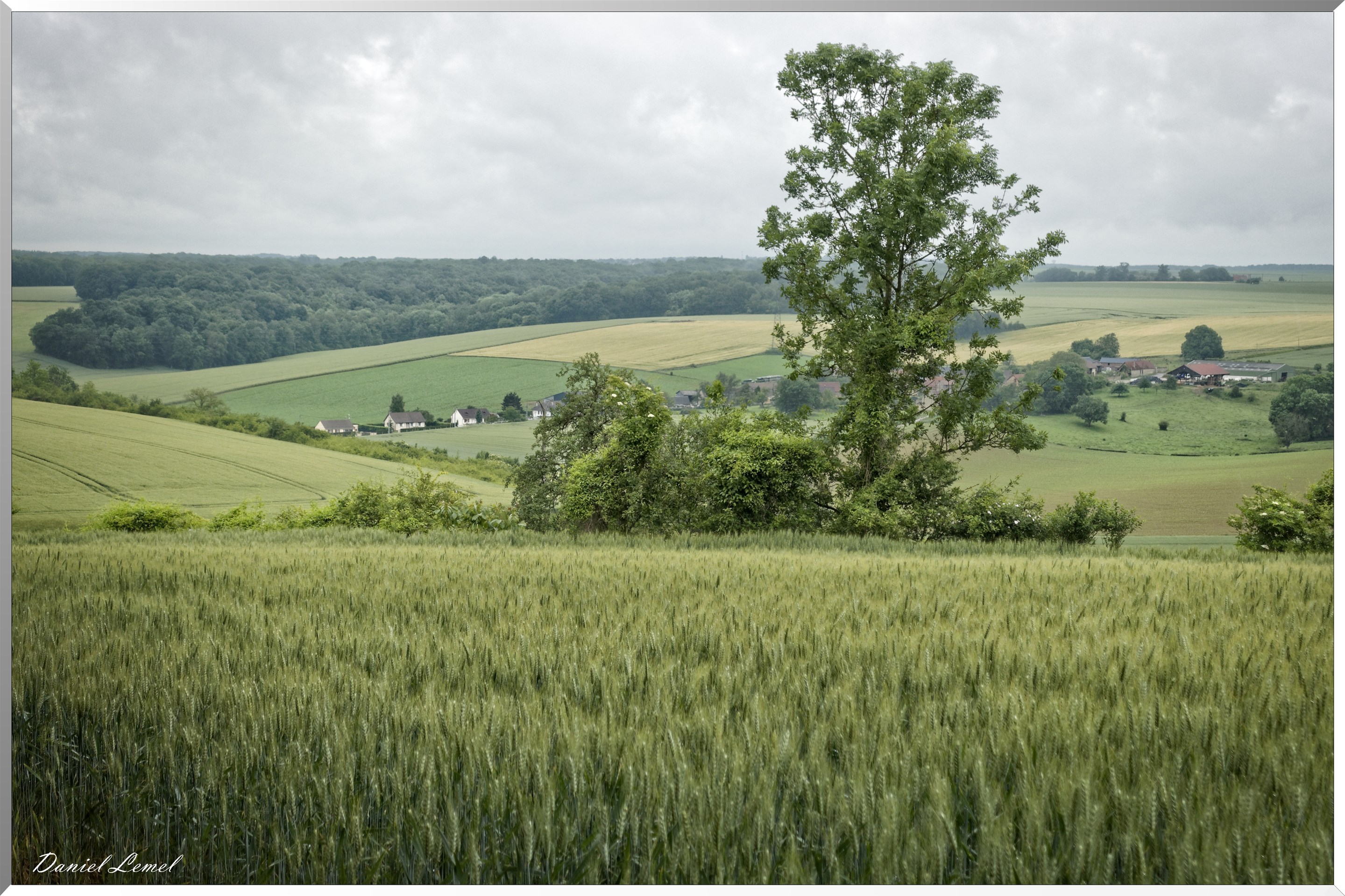 Civières