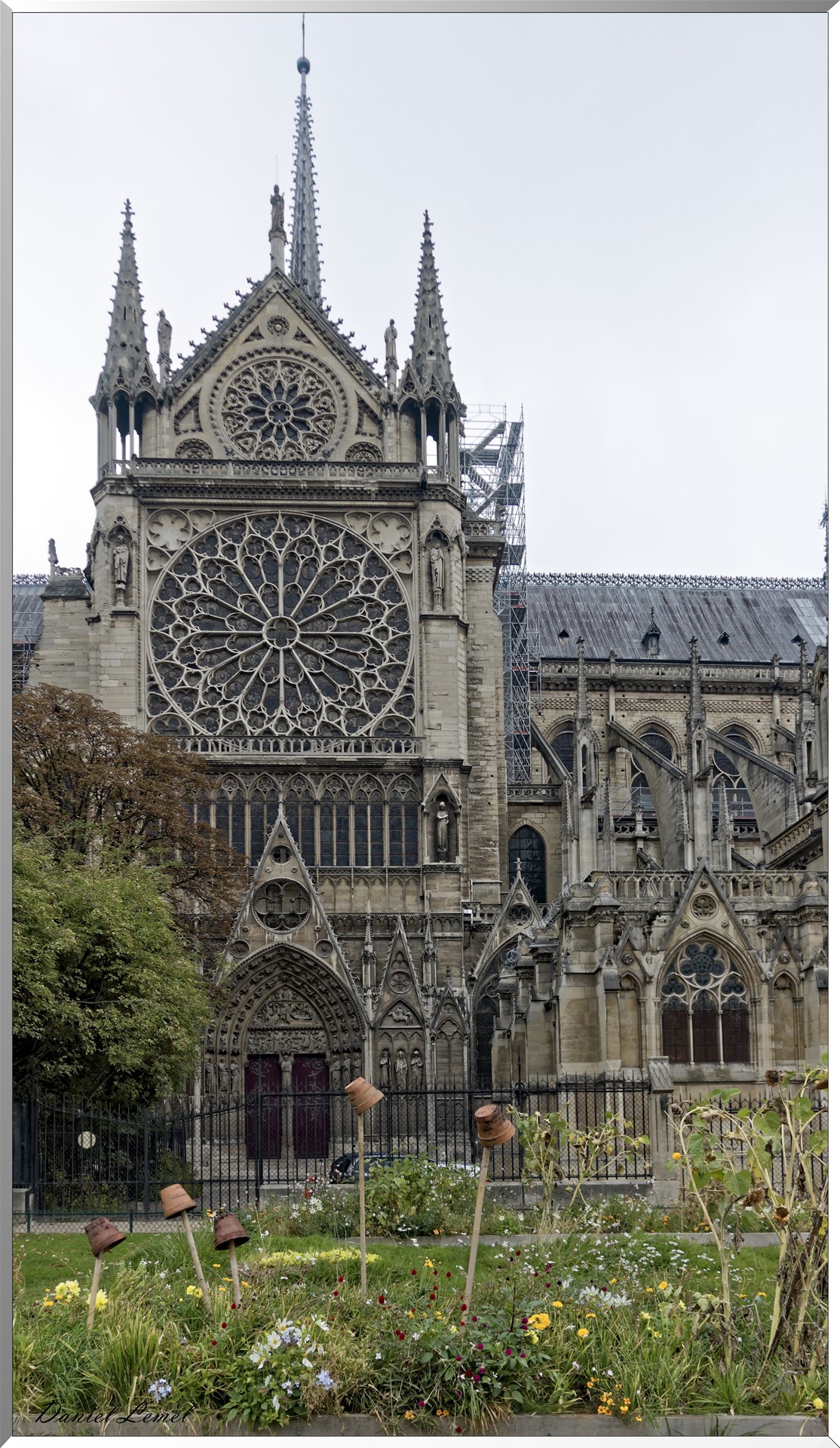 Cathédrale de Notre-Dame-de-Paris