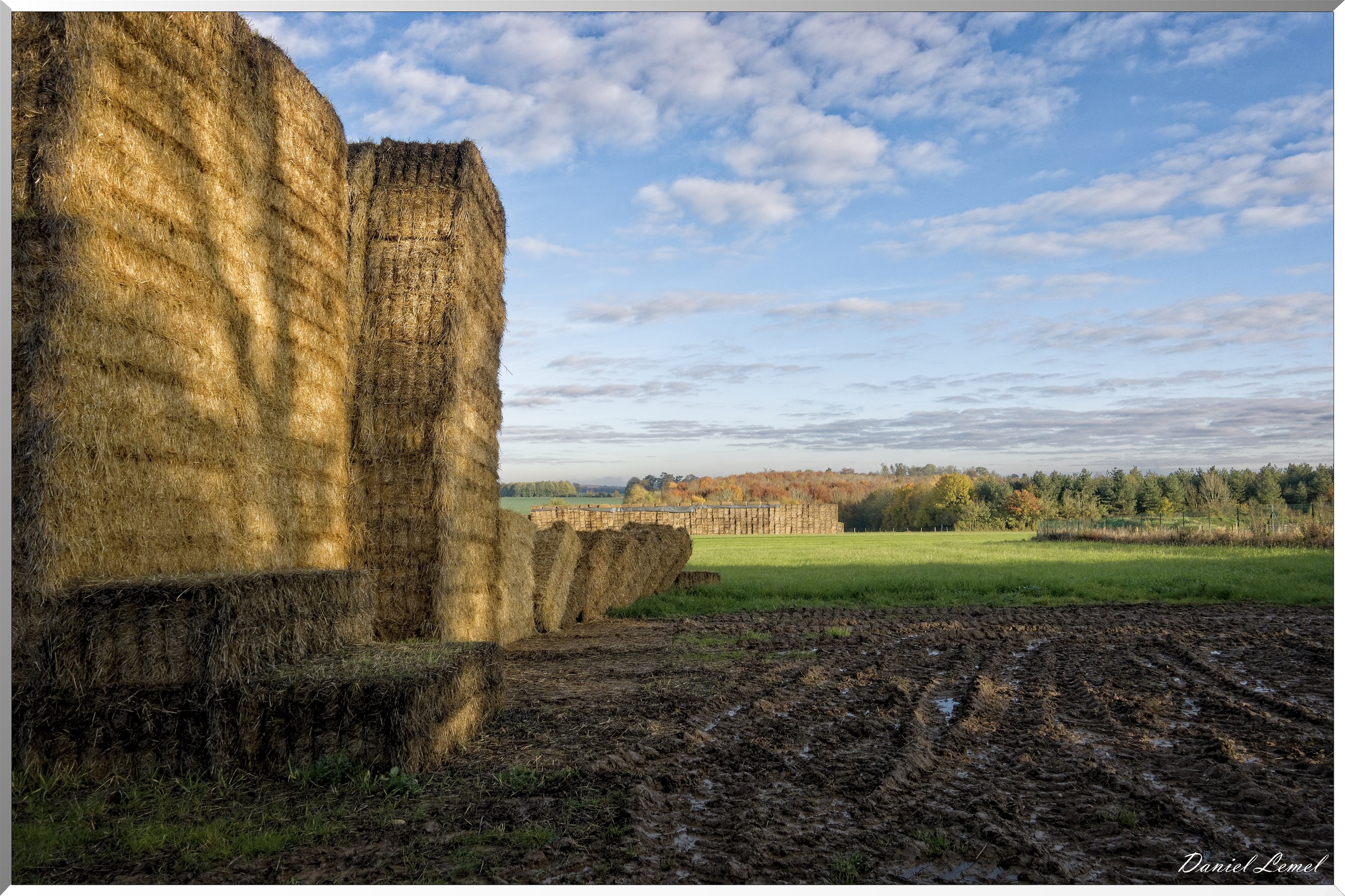 Noyers