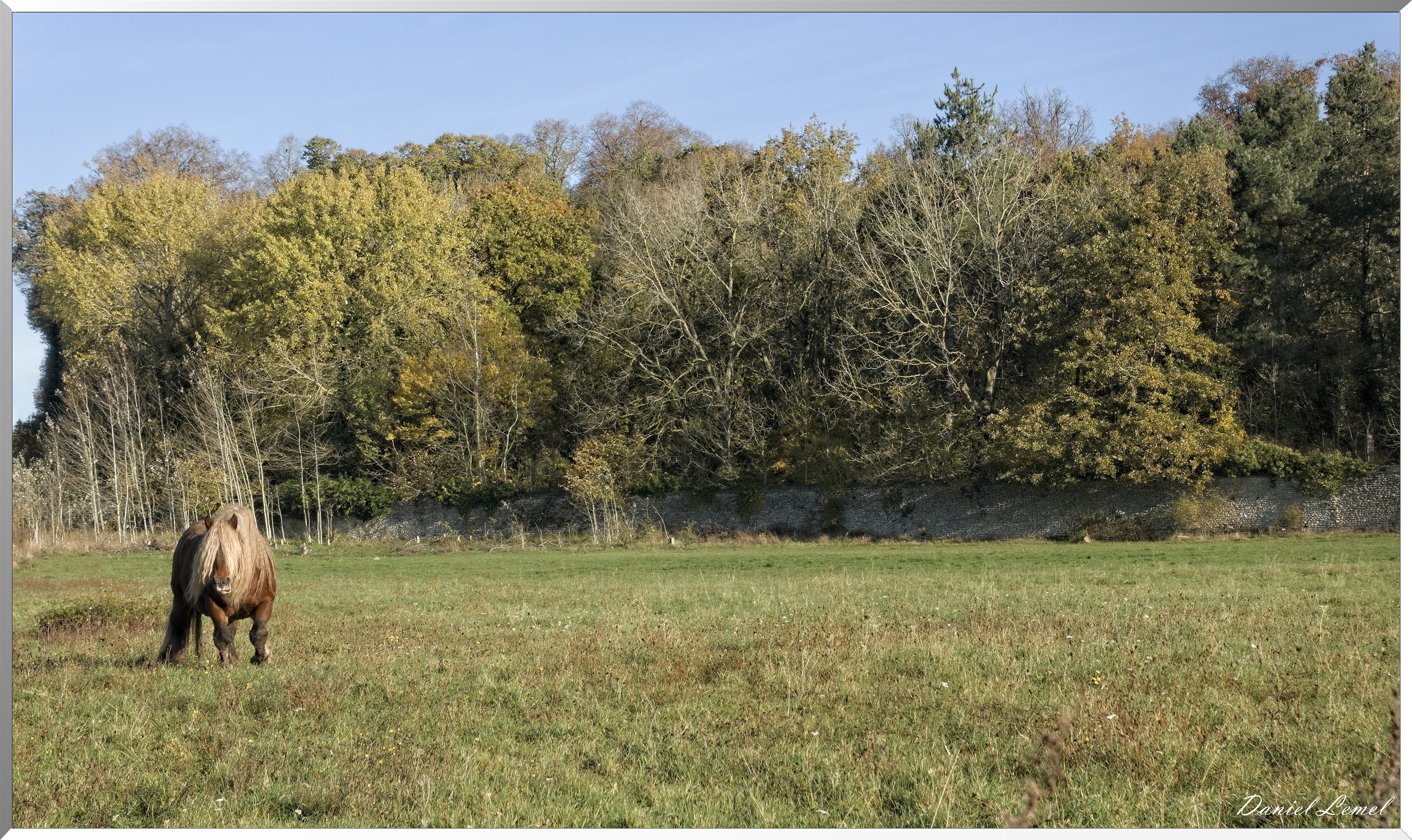 Noyers