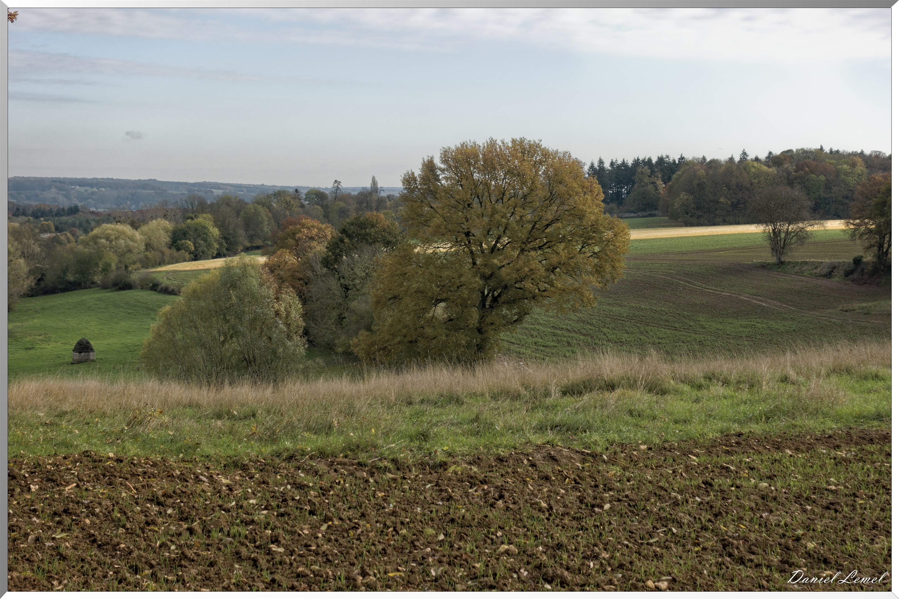 Noyers