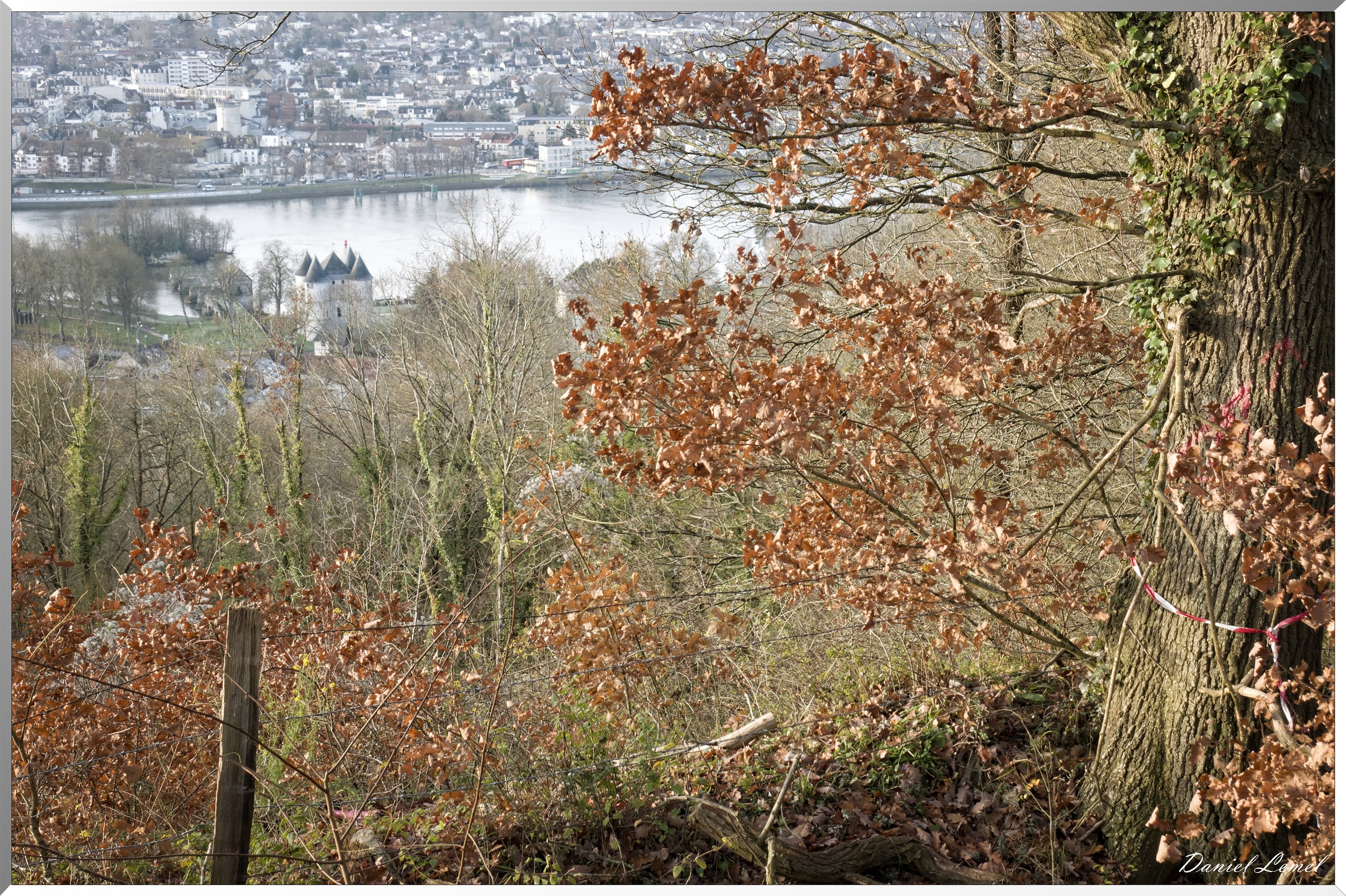 Vernonnet