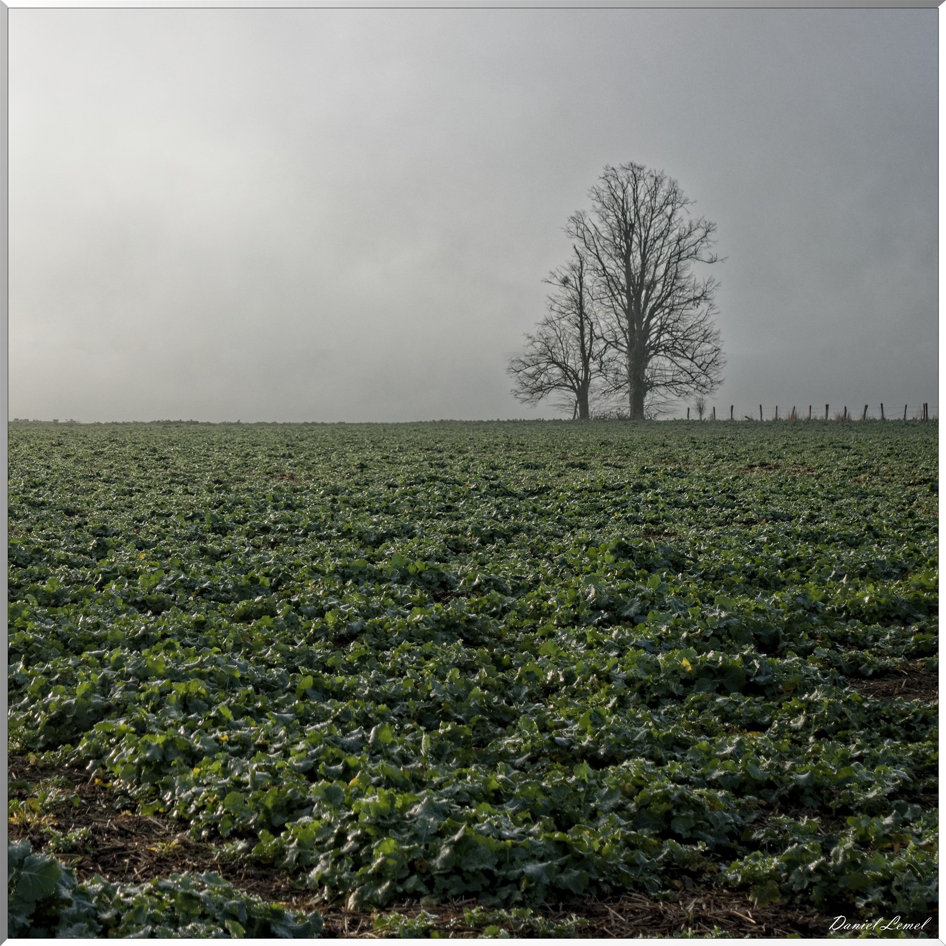 Heubécourt-Haricourt