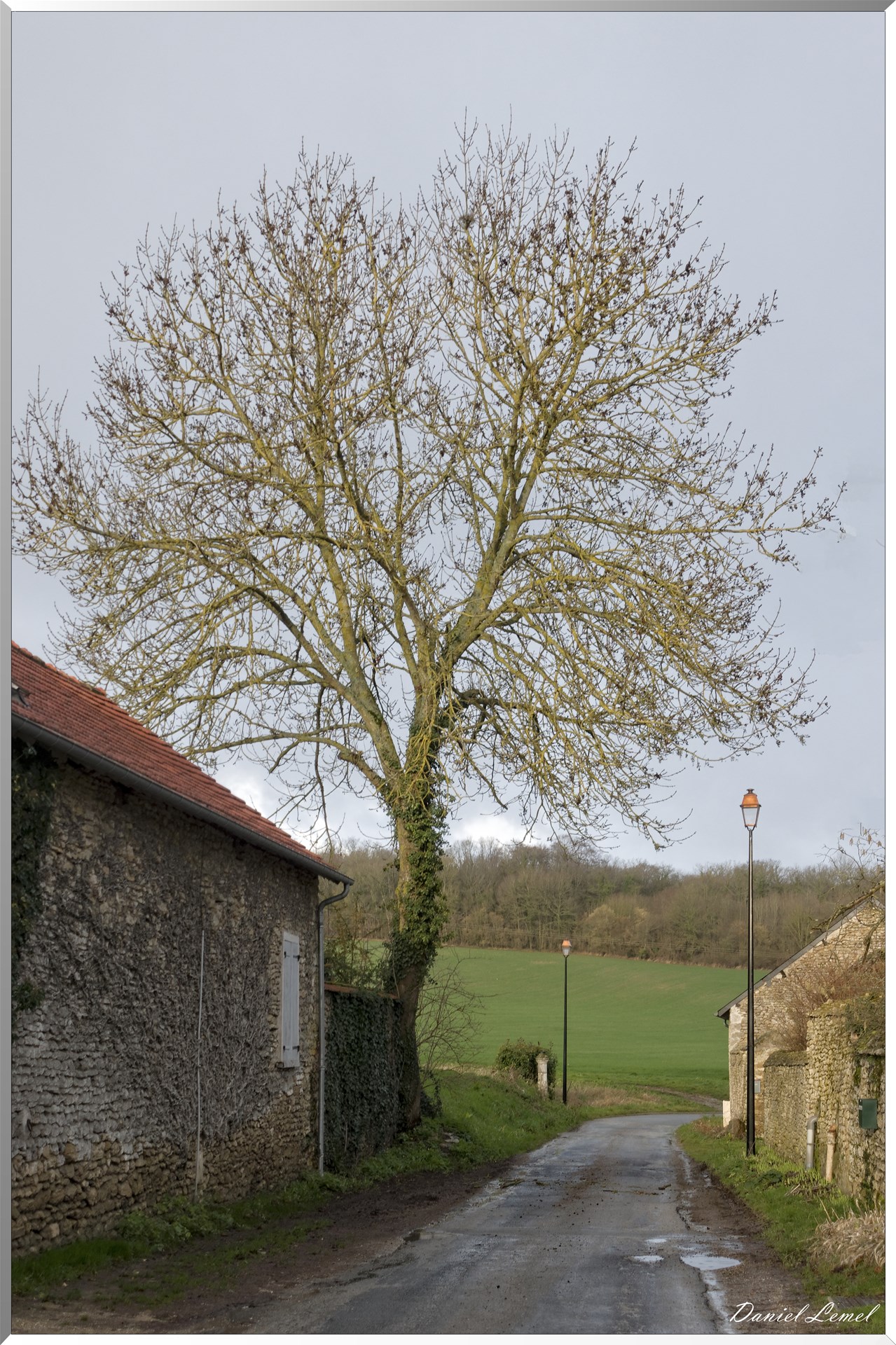 Dampmesnil