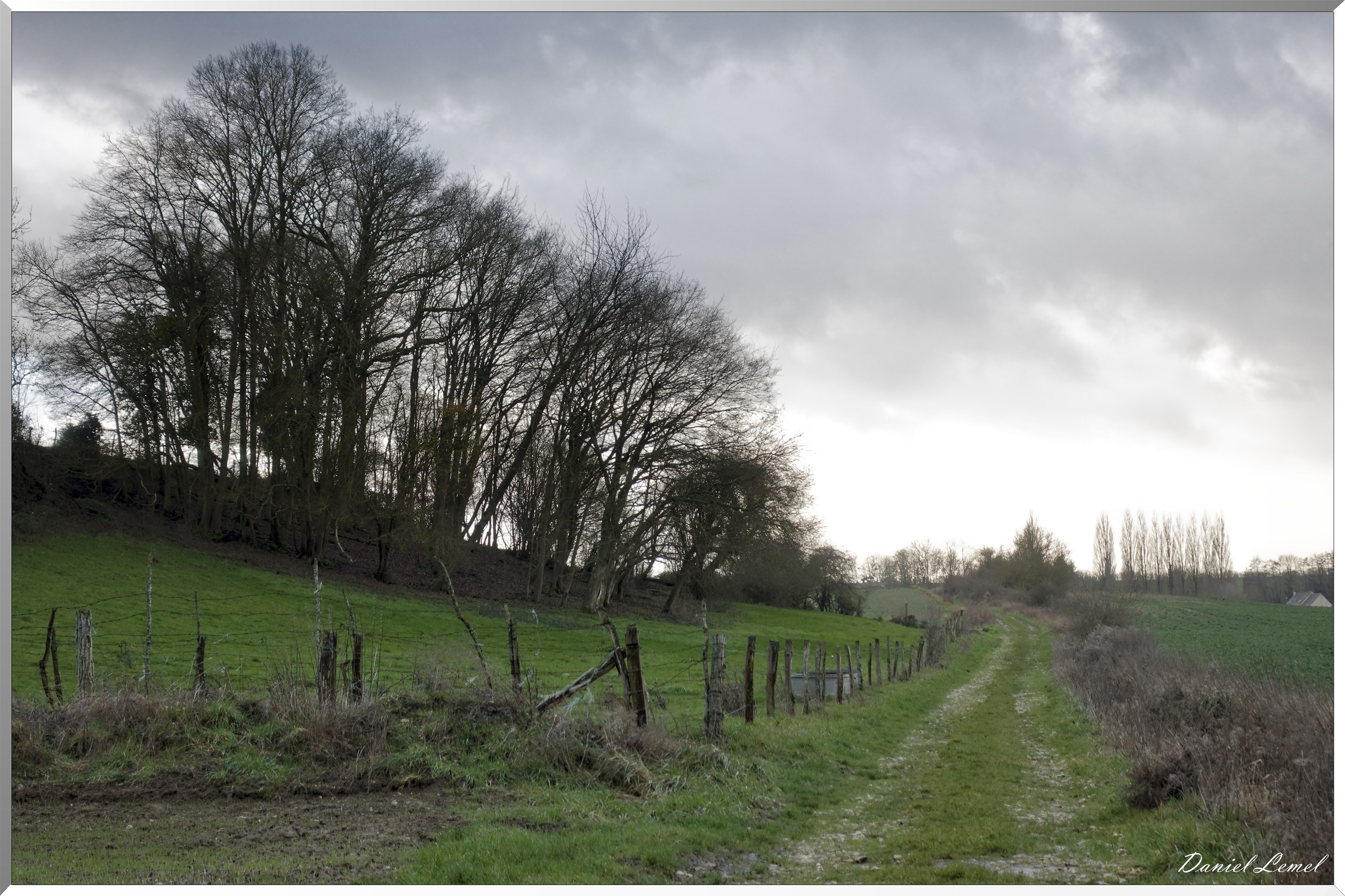 Dampmesnil