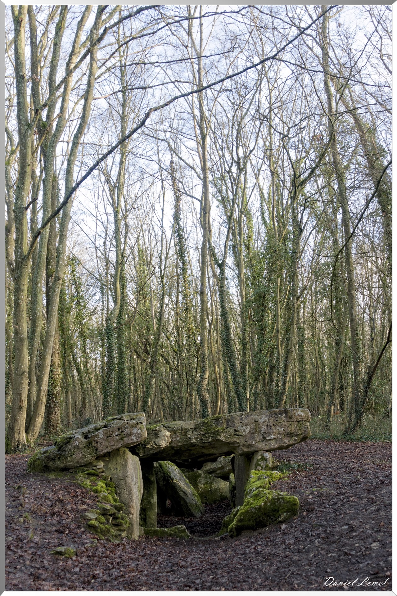 Dampmesnil