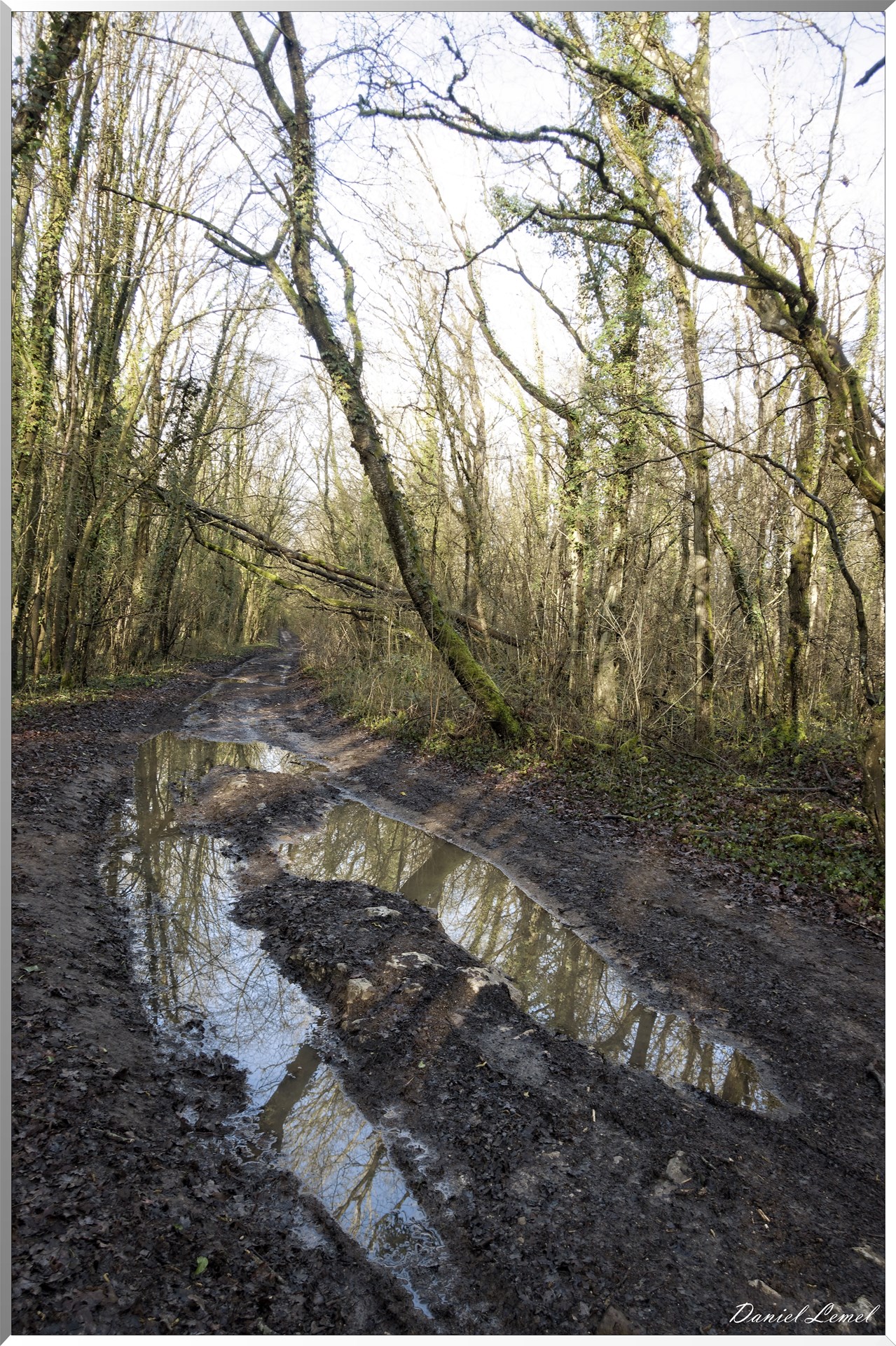Dampmesnil