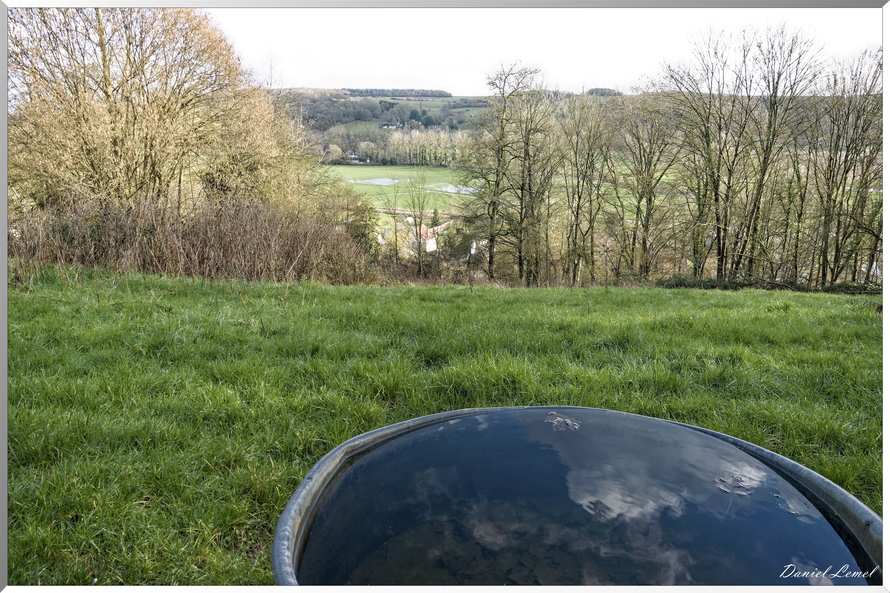 Dampmesnil