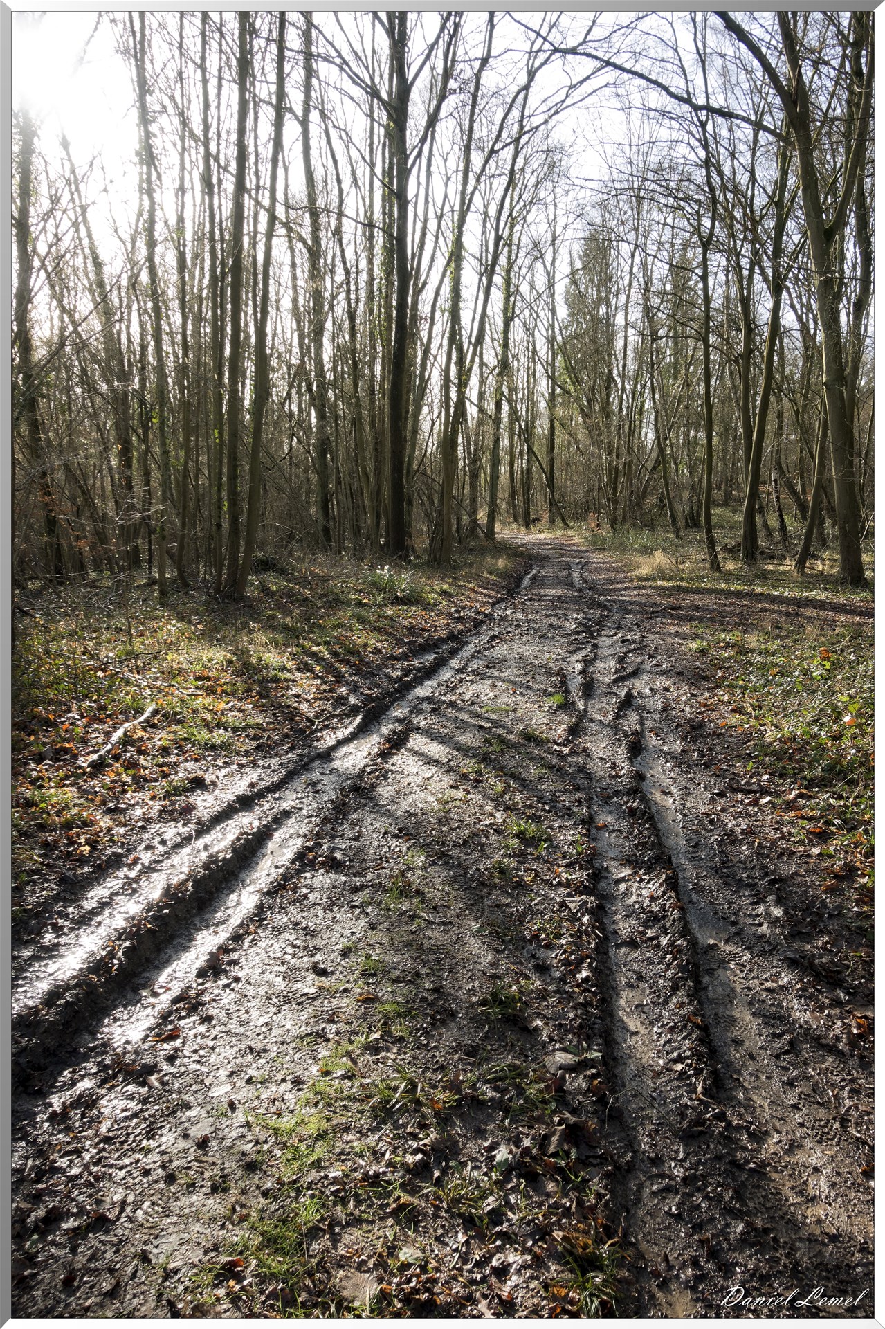 Dampmesnil