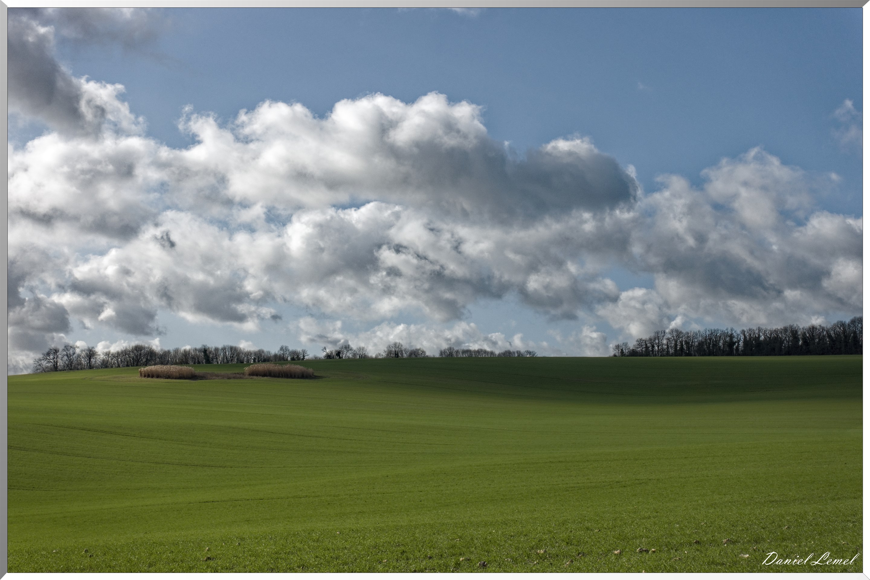 Dampmesnil