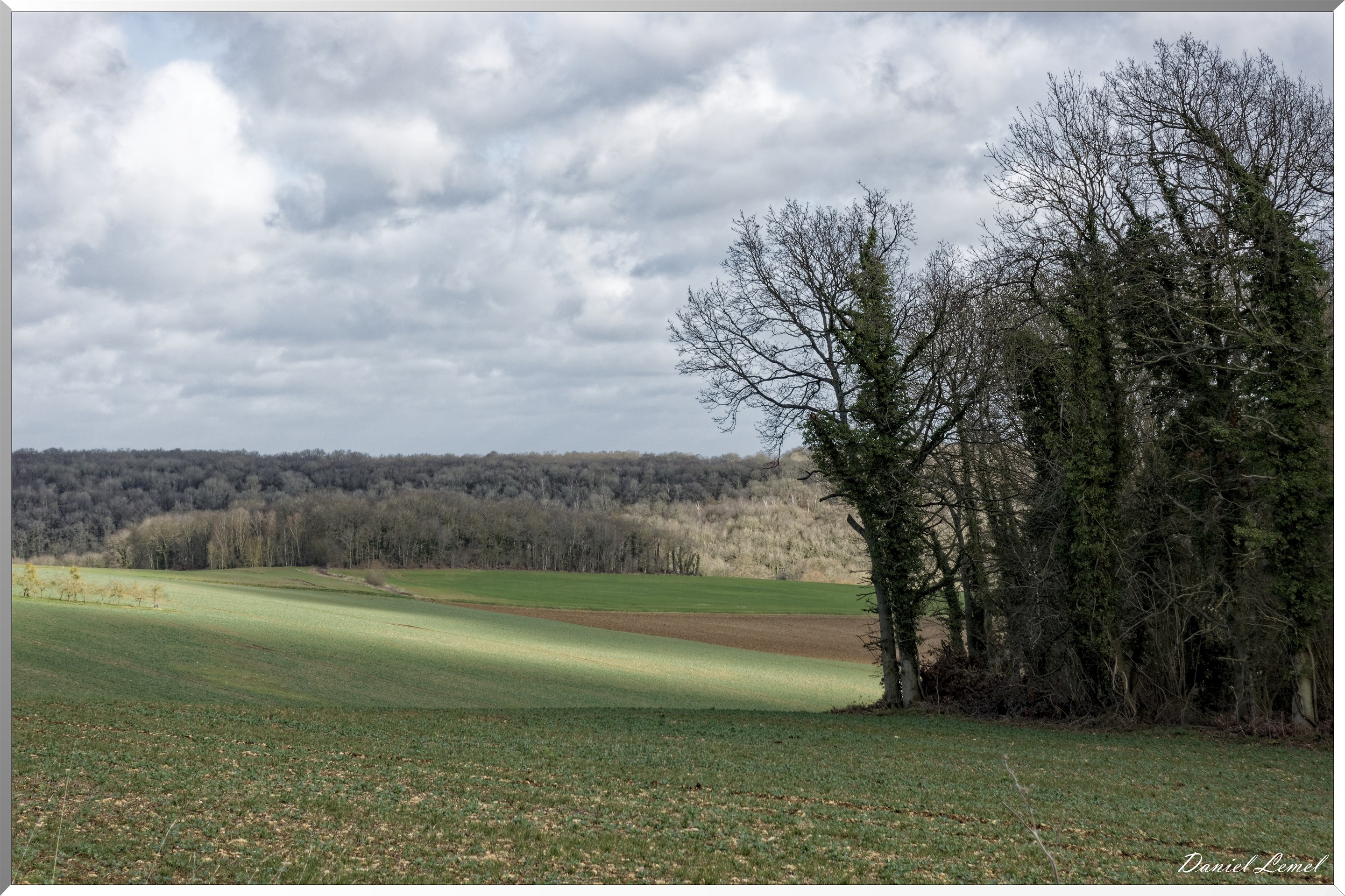 Dampmesnil