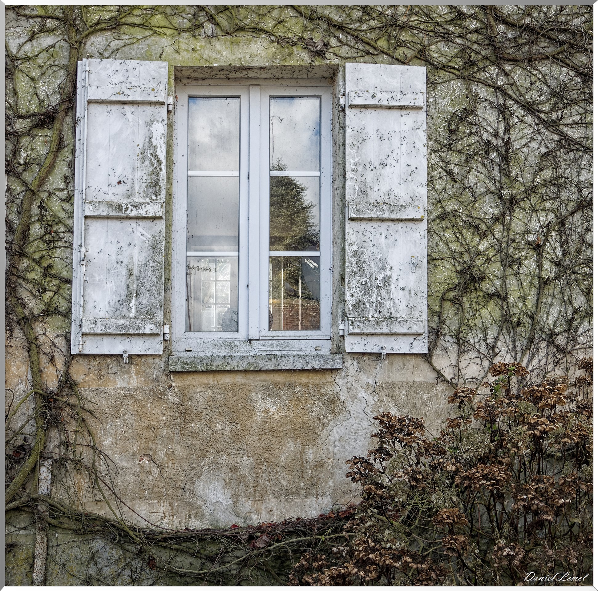 Dampmesnil