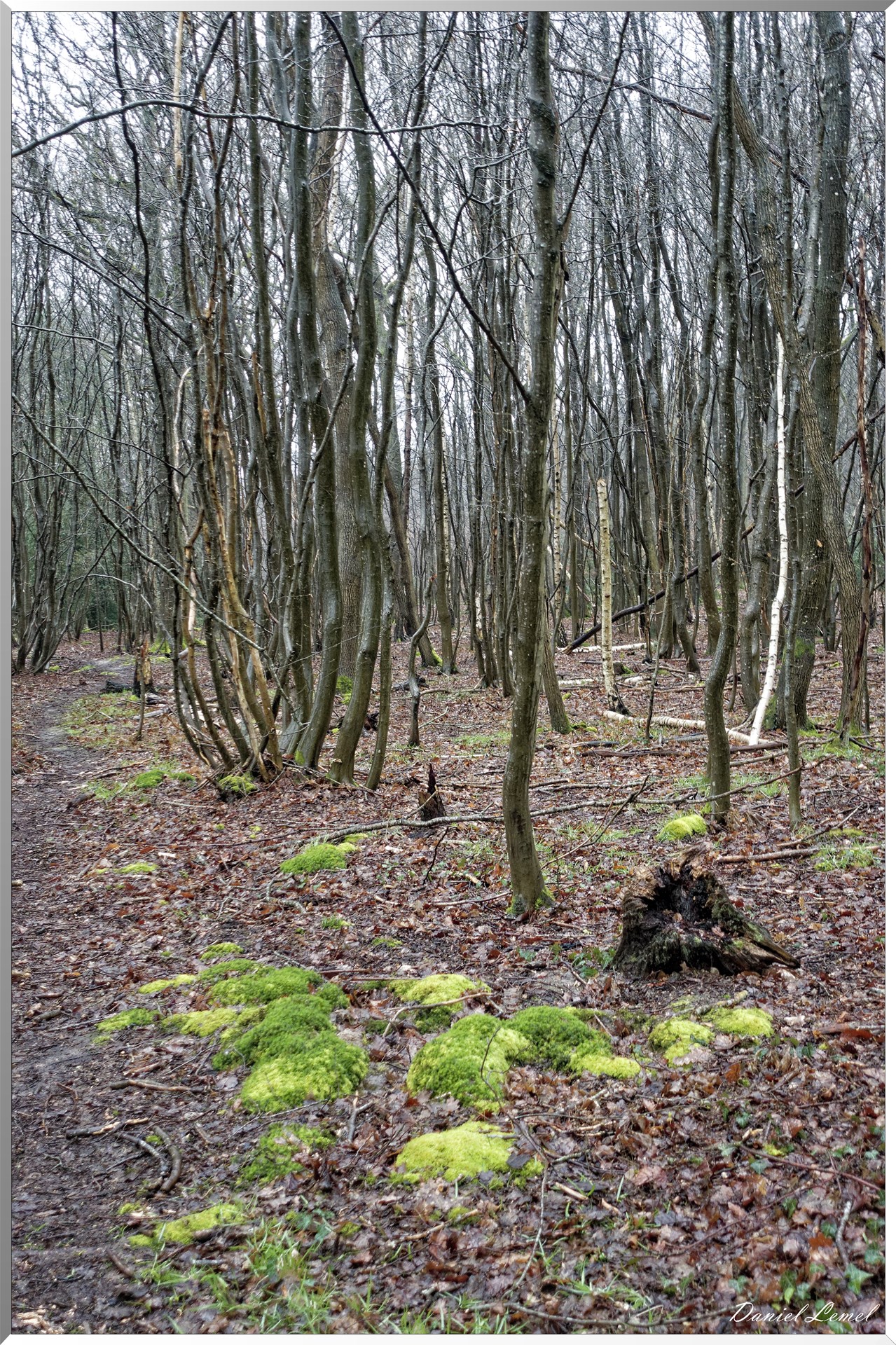 Bois-Jérôme-Saint-Ouen