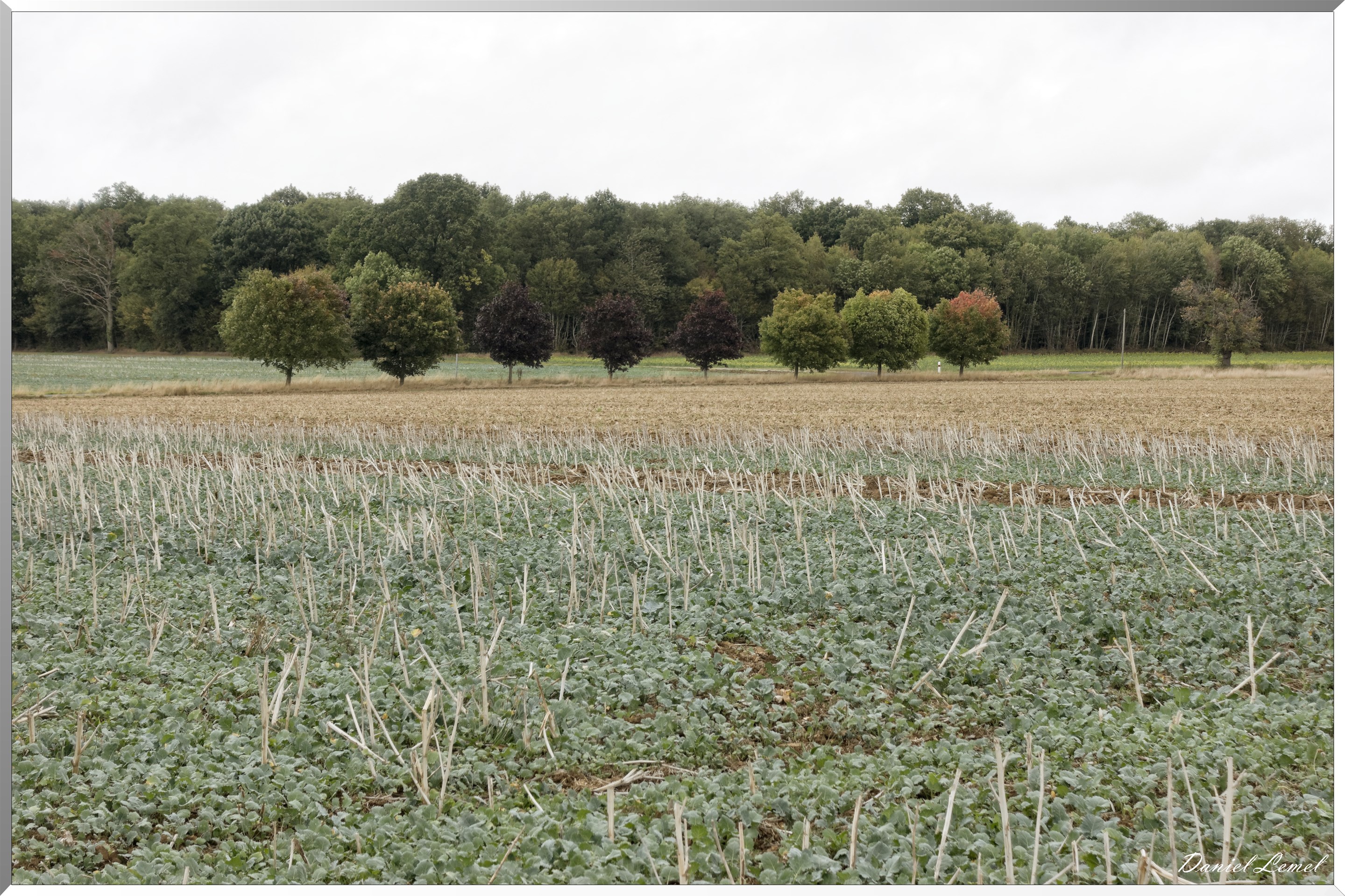 Menilles