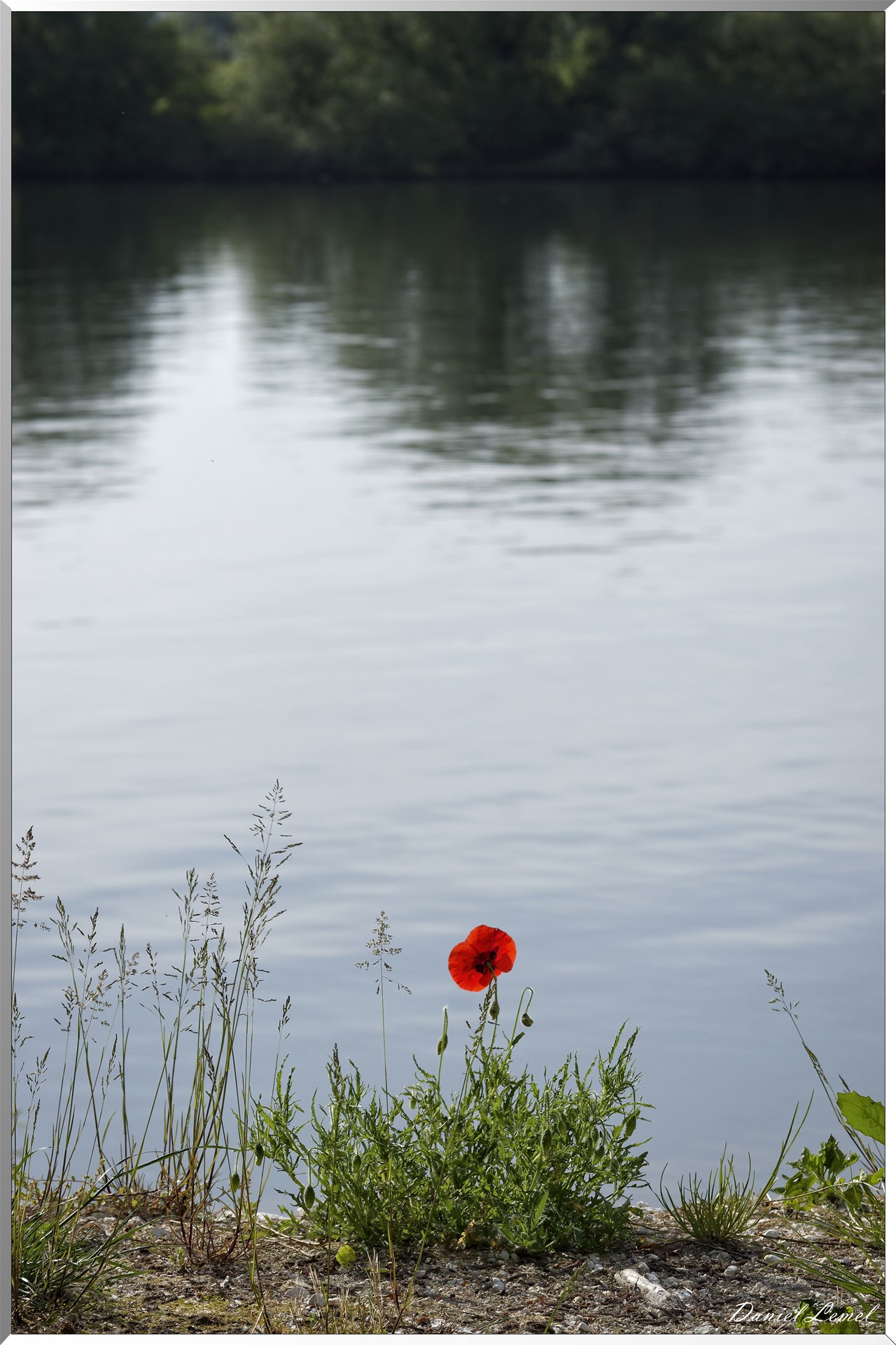  DSC0002 DxOW