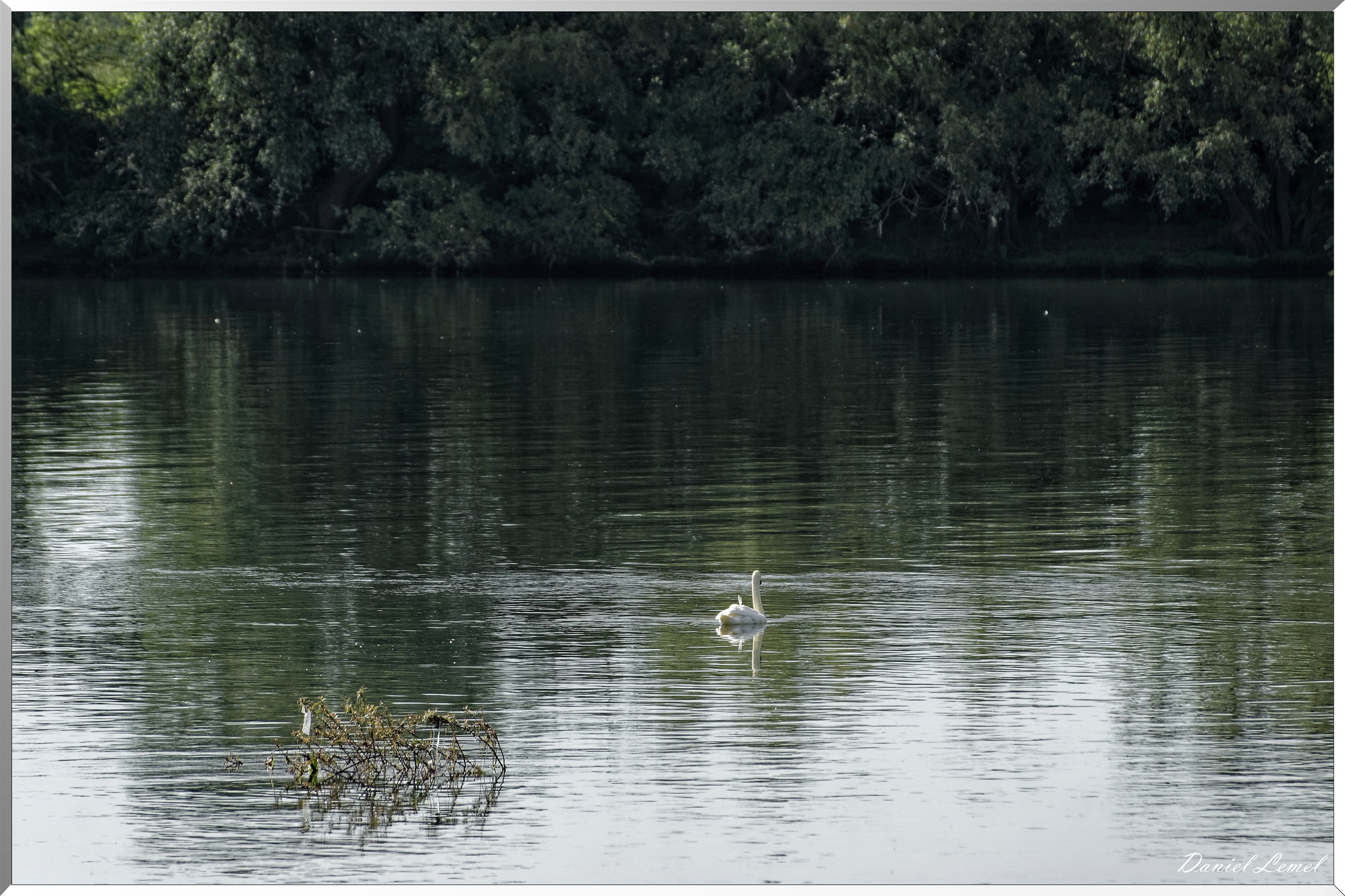  DSC0008 DxOW