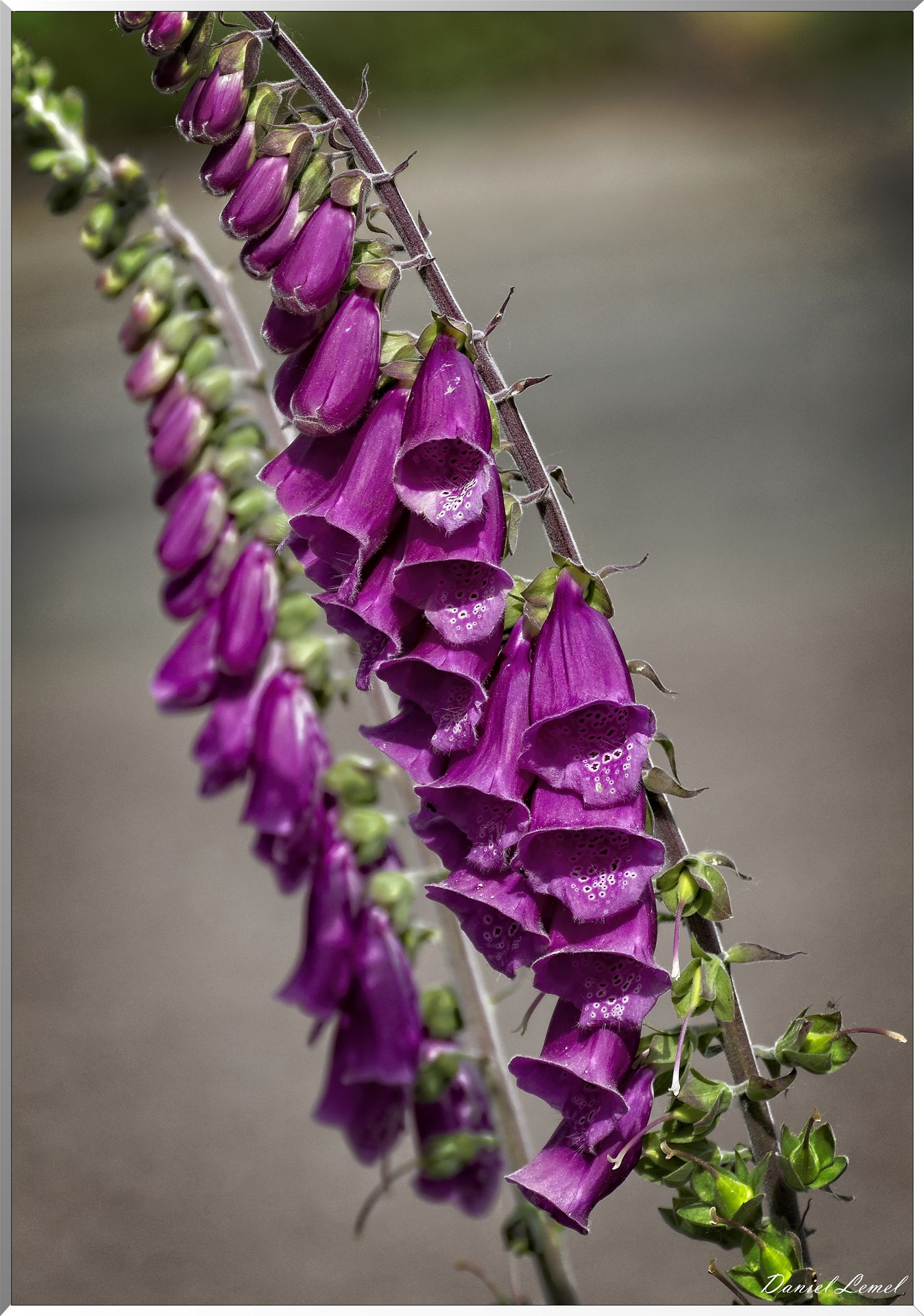 DSC0021 DxOW