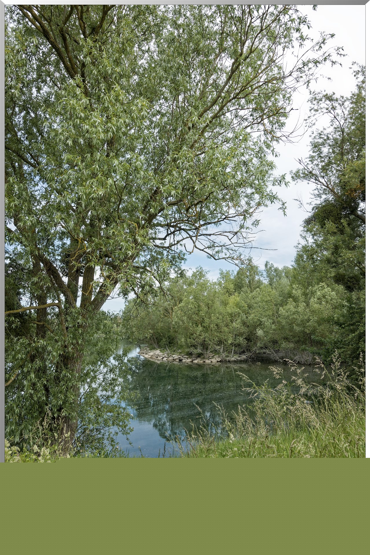  DSC9317 DxOW