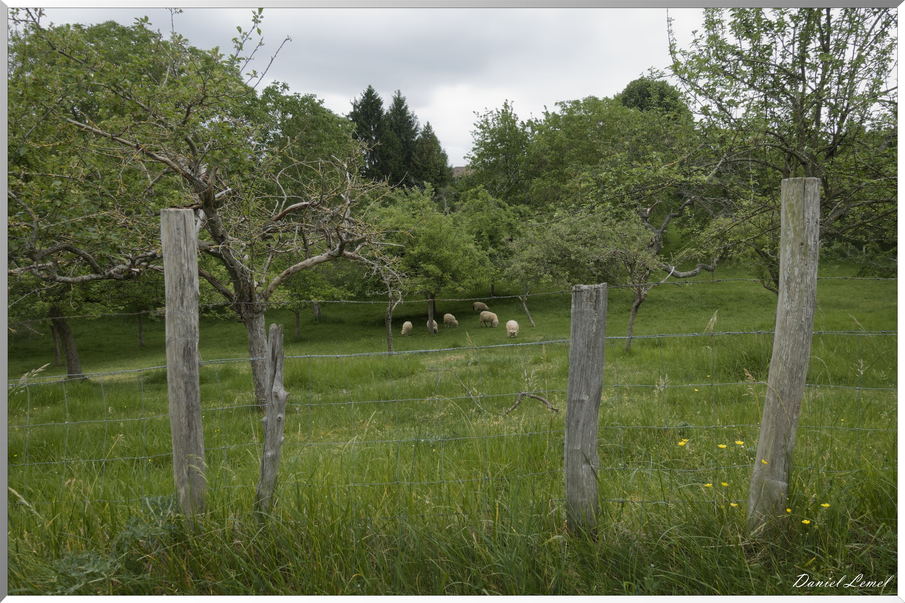 Saint-Pierre-de-Bailleul