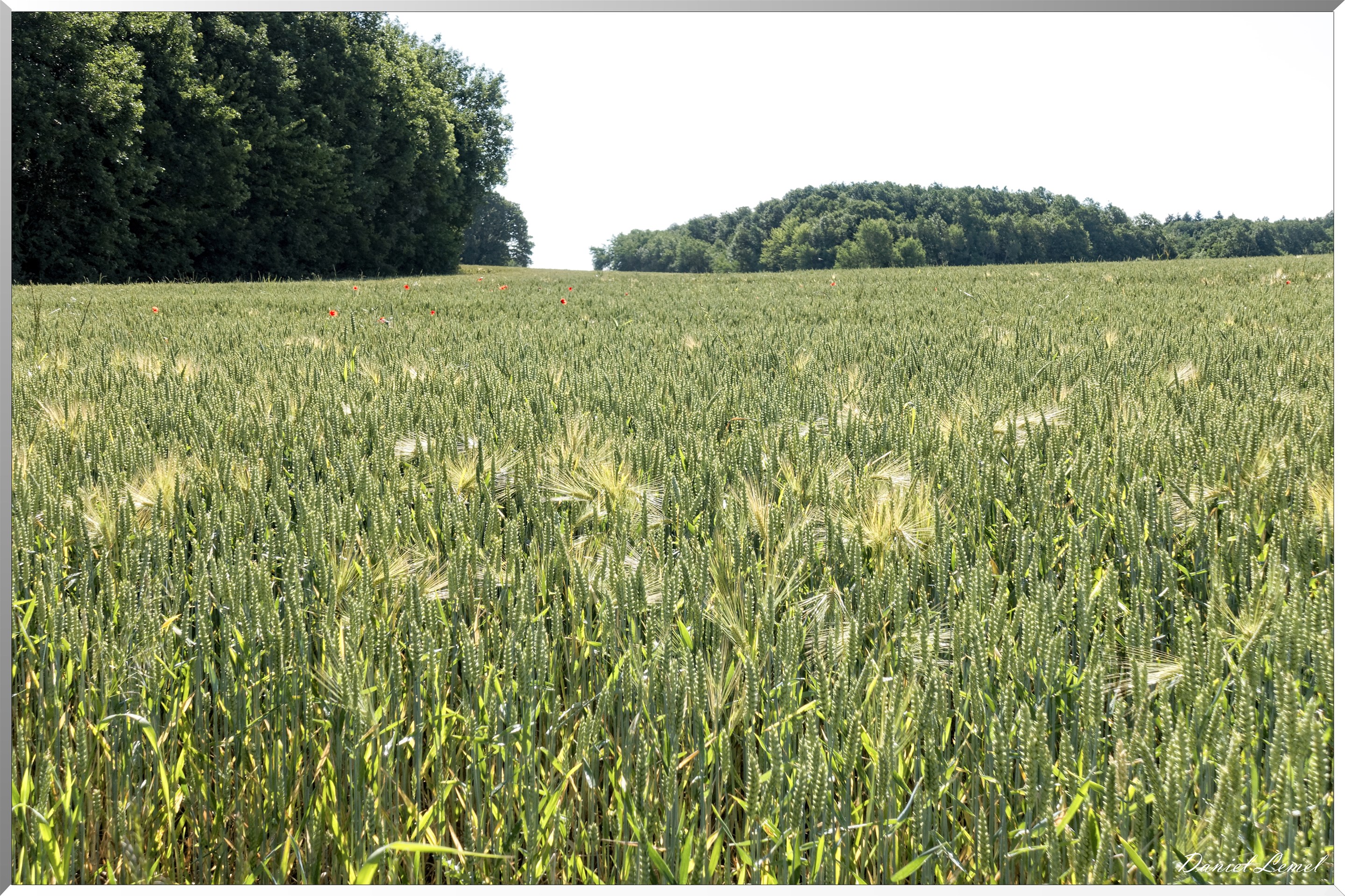 La Chapelle-Réanville