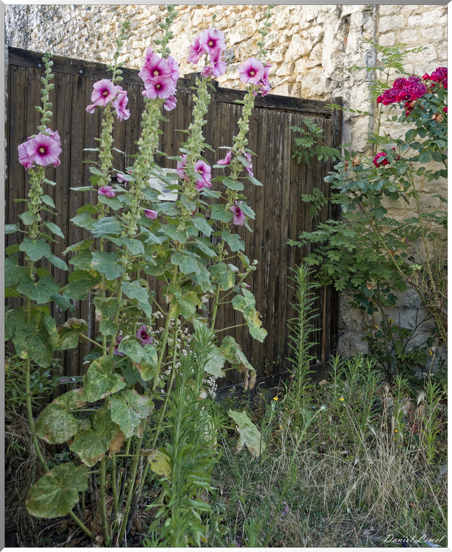 Pressagny l'Orgueilleux