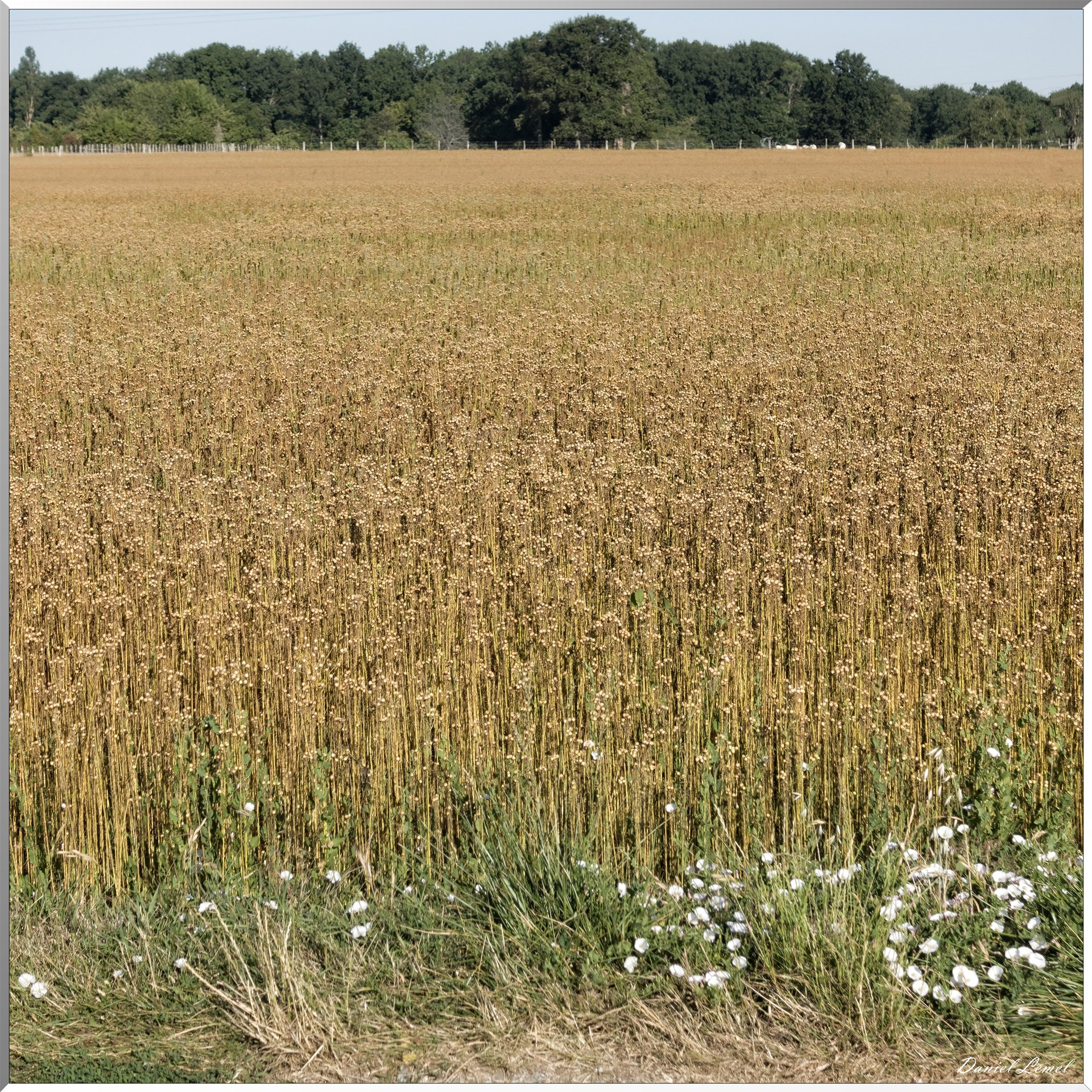 Saint-Pierre-de-Bailleul