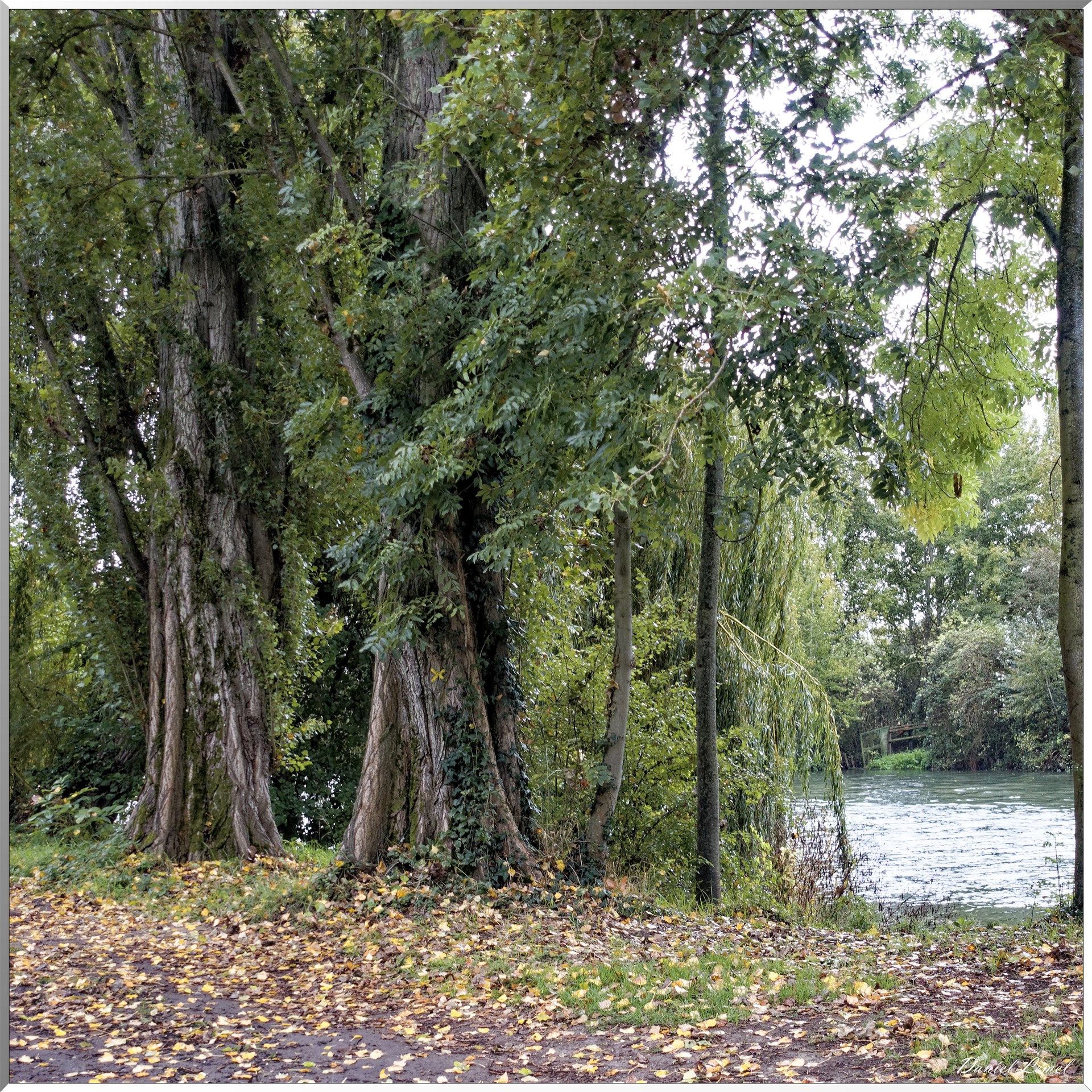 Pressagny l'Orgueilleux