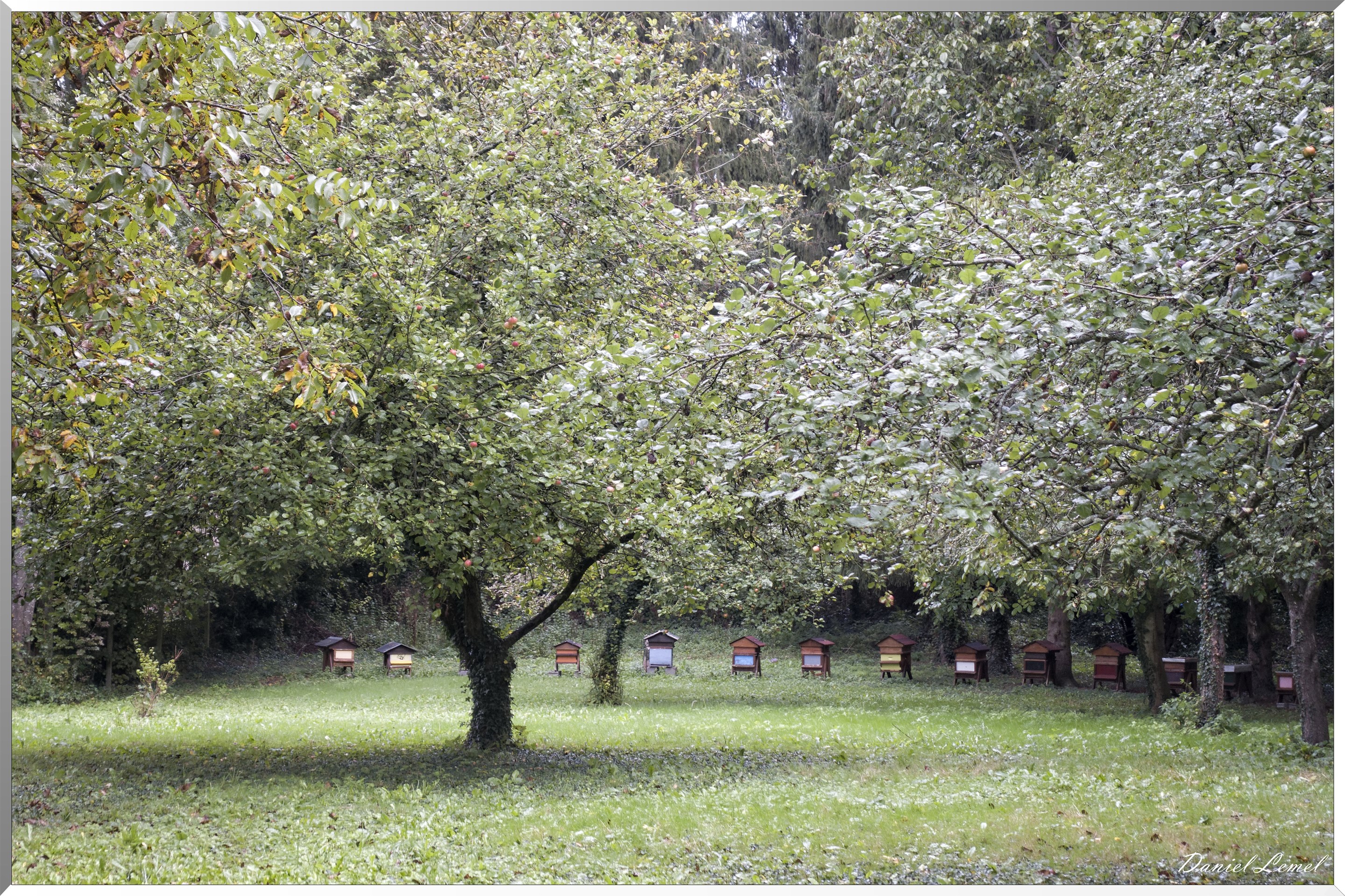 Pressagny l'Orgueilleux
