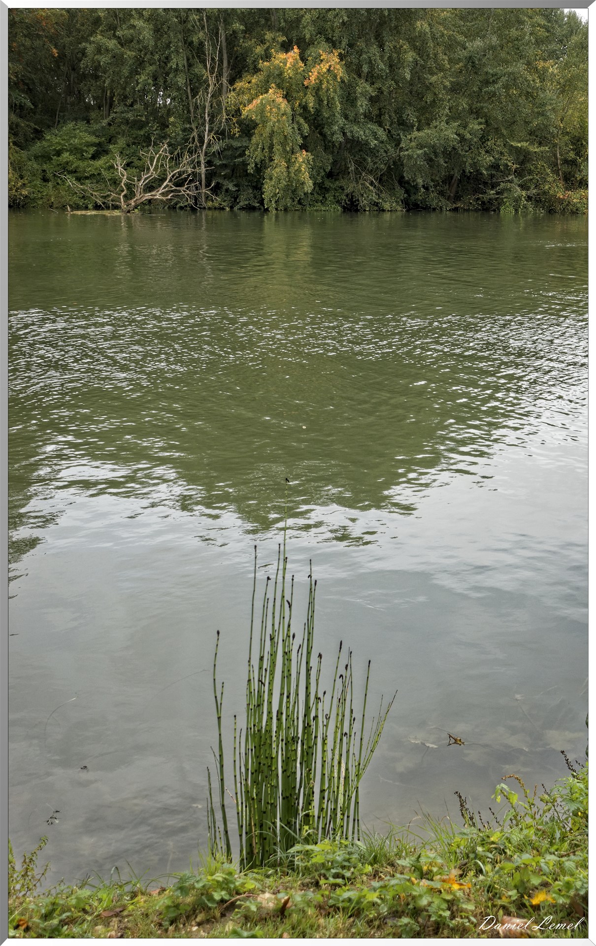 Pressagny l'Orgueilleux