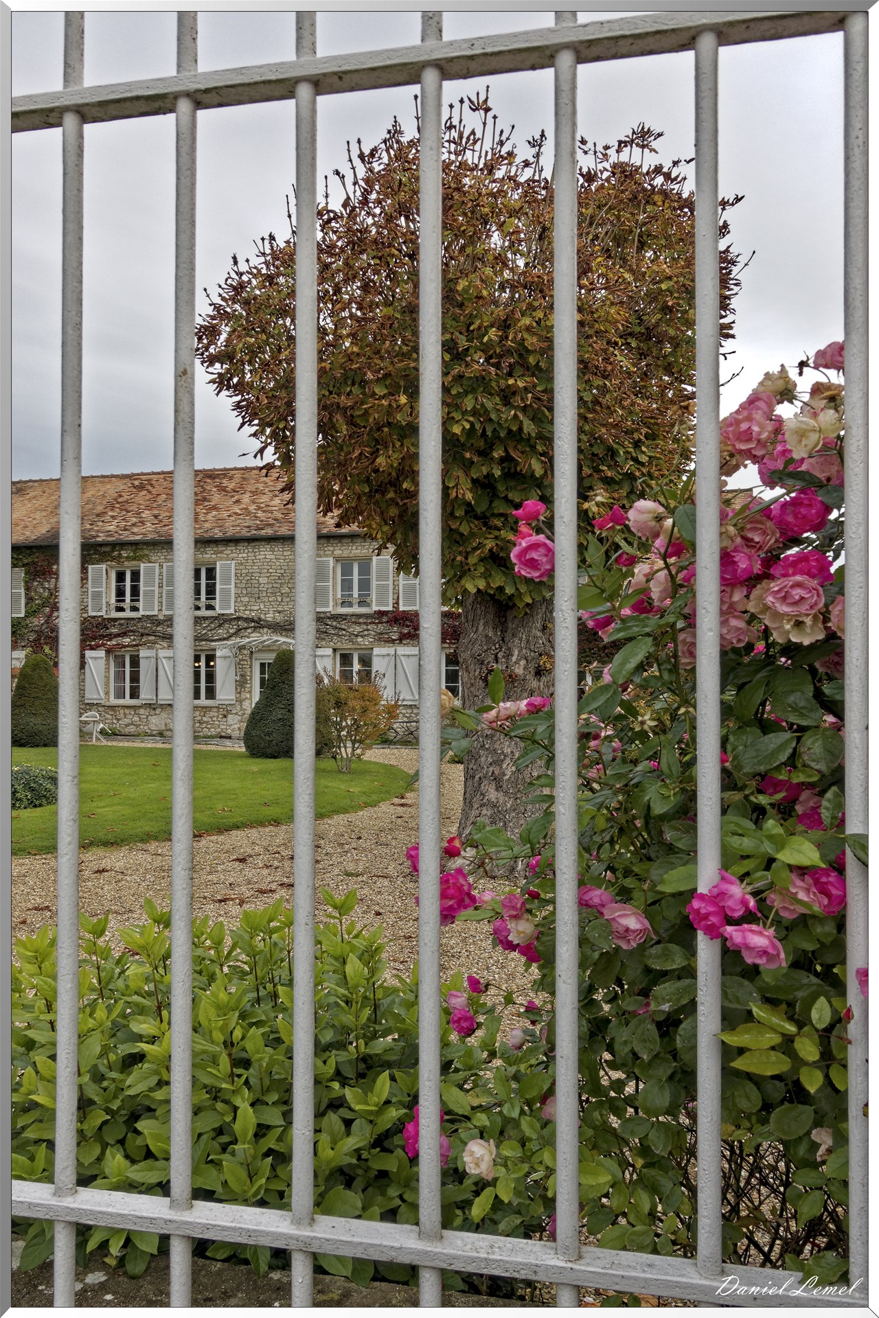 Portmort