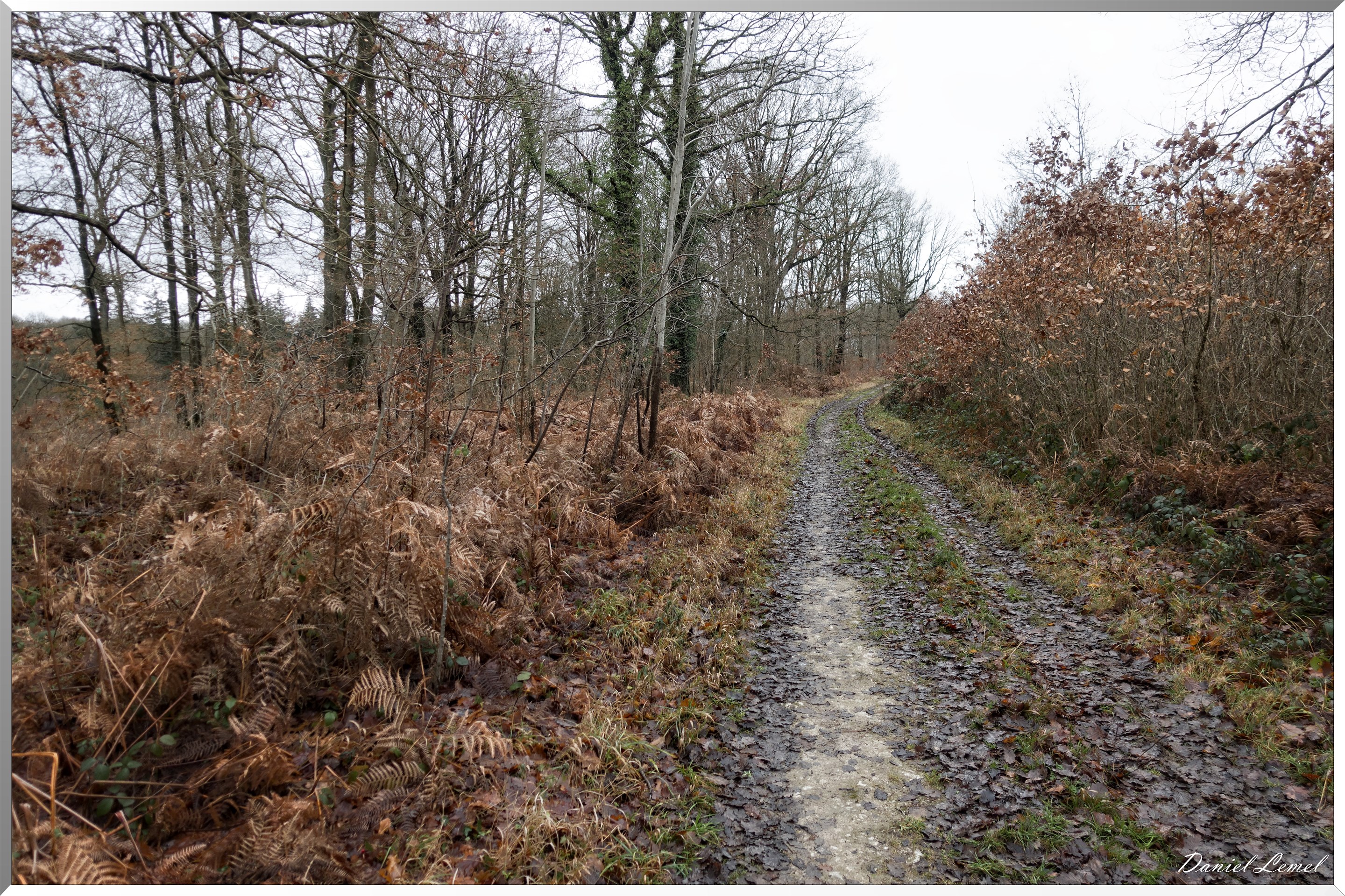 Vernon - Forêt du LRBA
